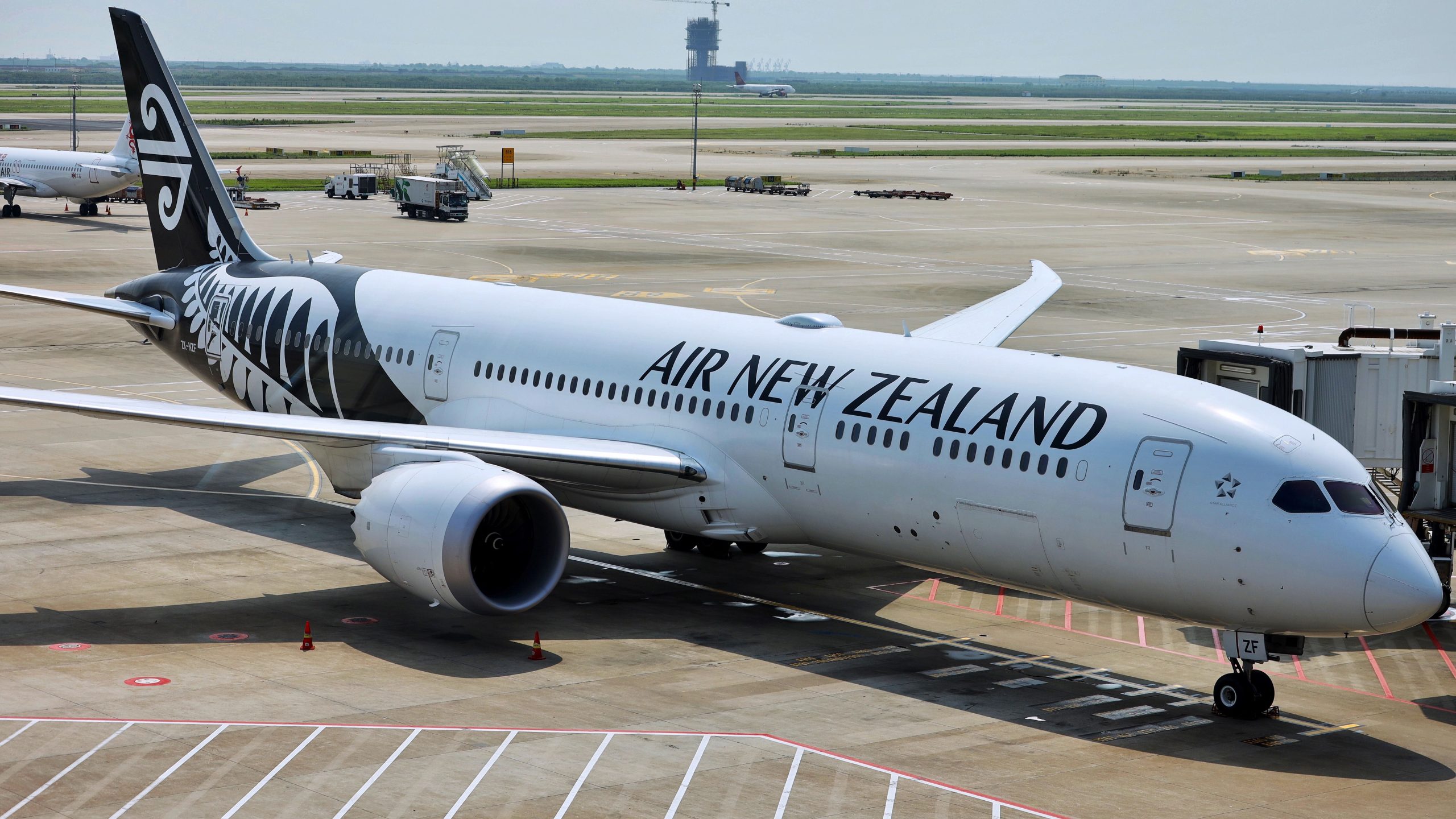 Los Angeles, Houston e São Francisco: Air New Zealand aumenta os vôos dos EUA