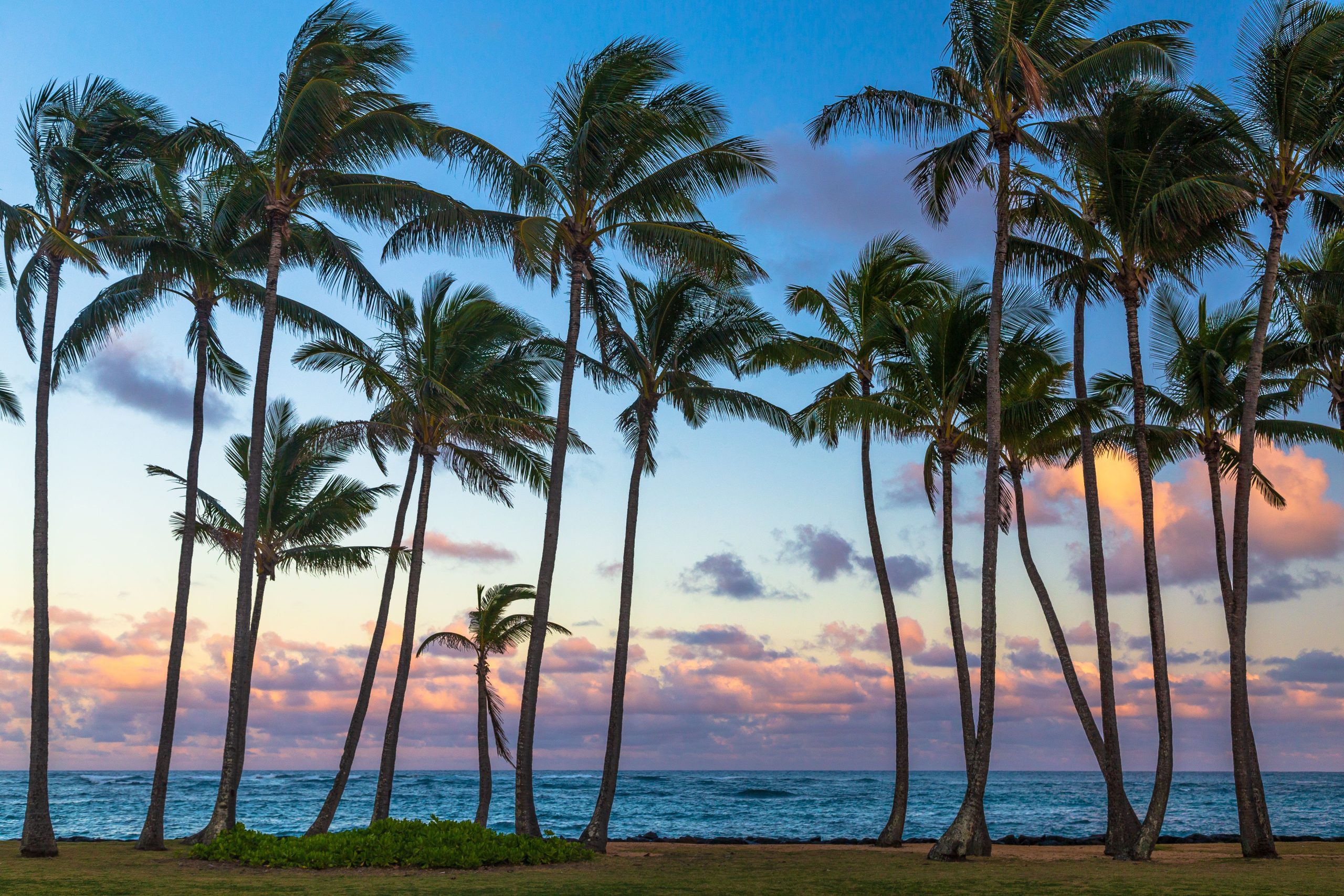 J'ai découvert pourquoi Kauai est la meilleure île hawaïenne