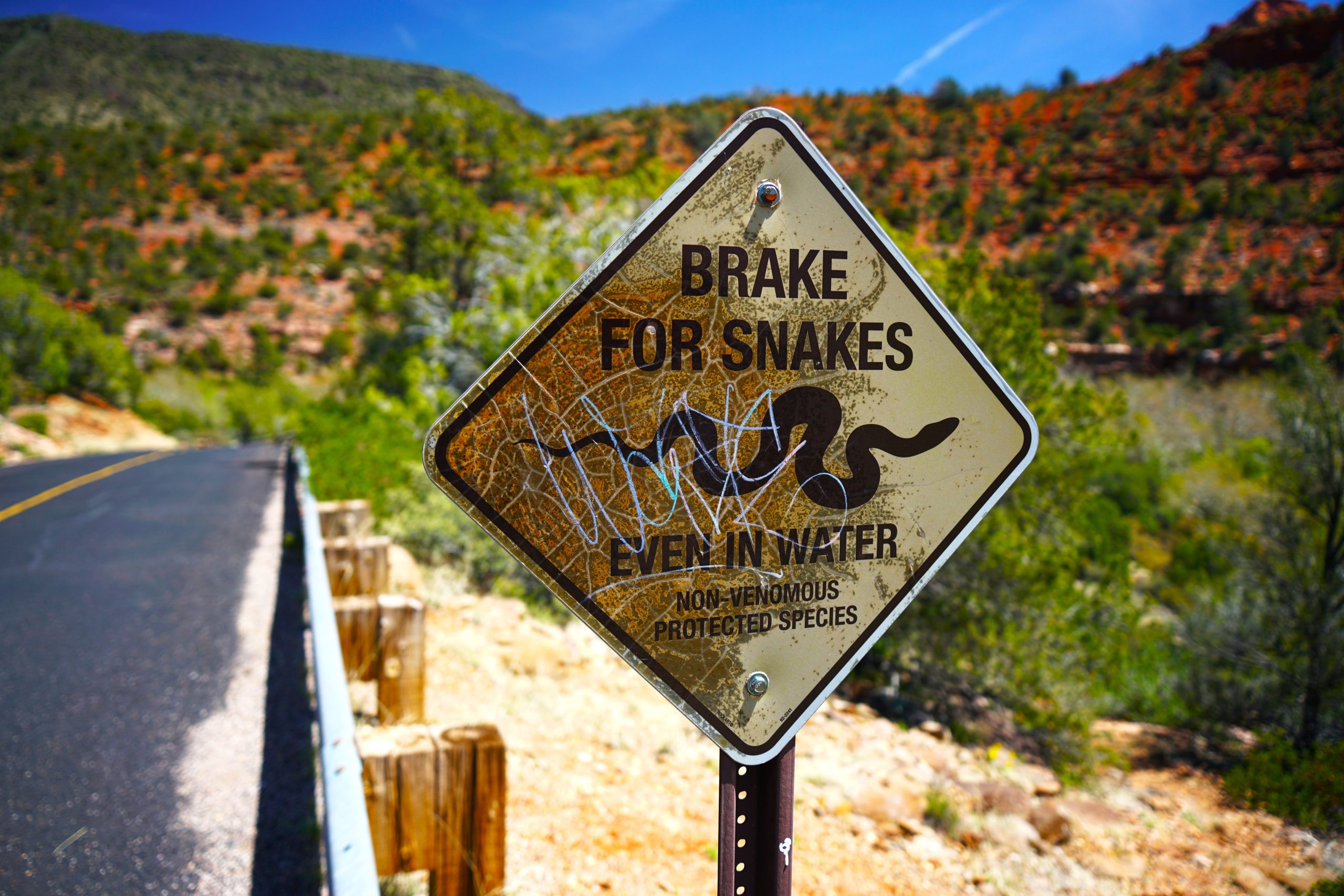 L'un des États les plus infestés de serpents d'Amérique est l'une des destinations touristiques les plus sous-estimées