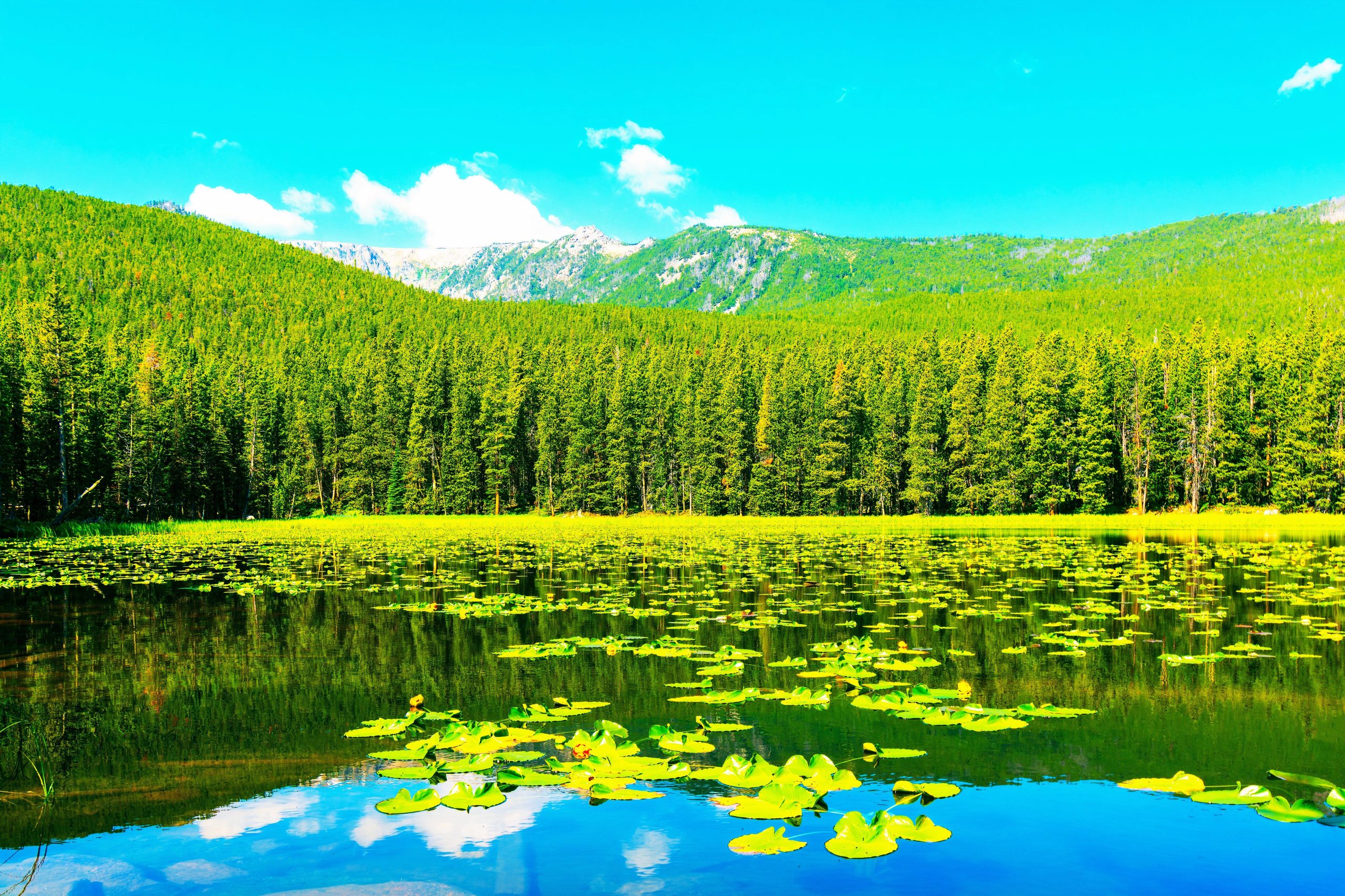 O lugar mais bonito de Montana é oficialmente neste país das maravilhas remoto subestimado