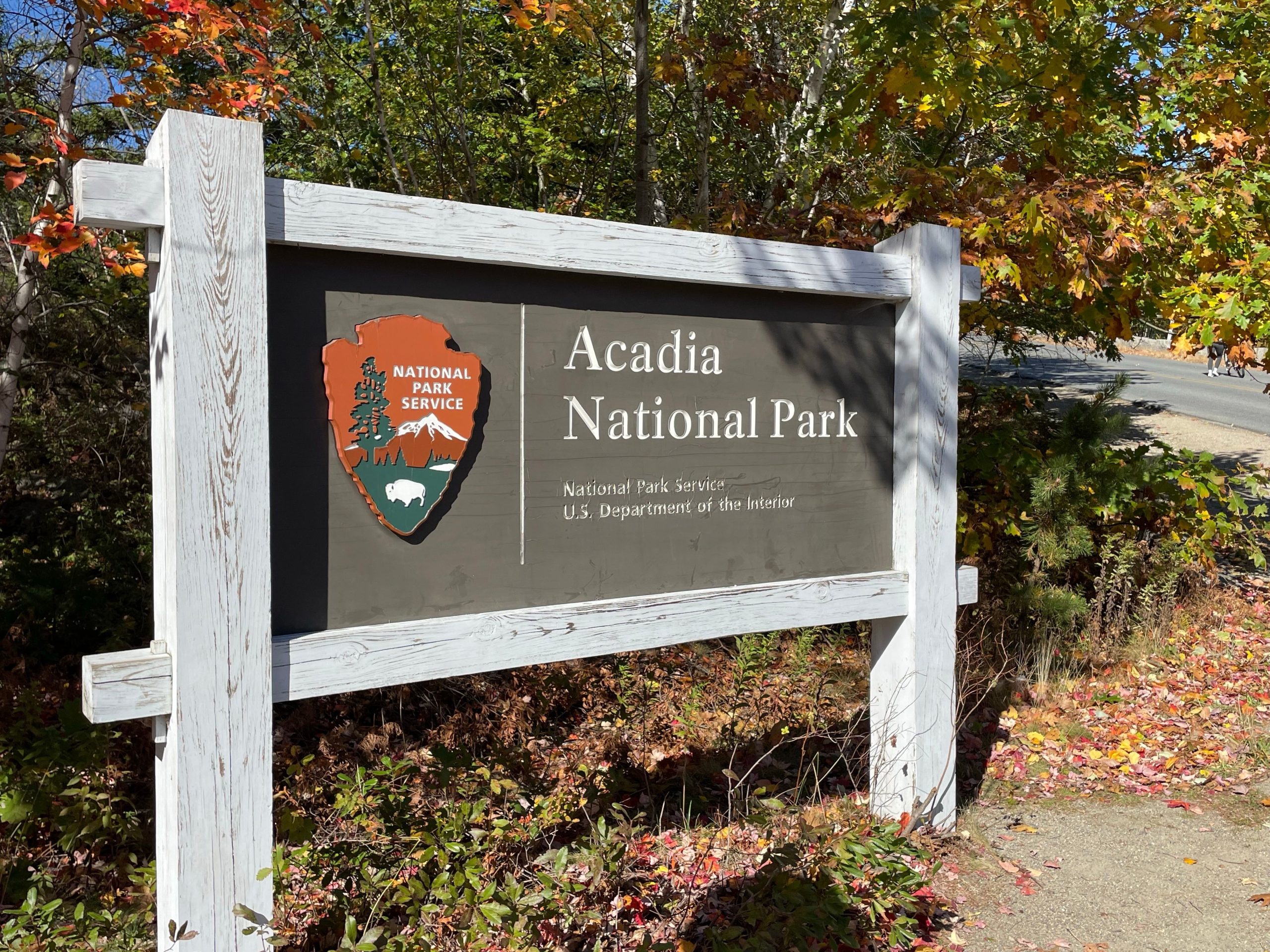 Parque Nacional Acadia elogiado por trazer de volta o serviço gratuito, todos os principais parques devem implementar