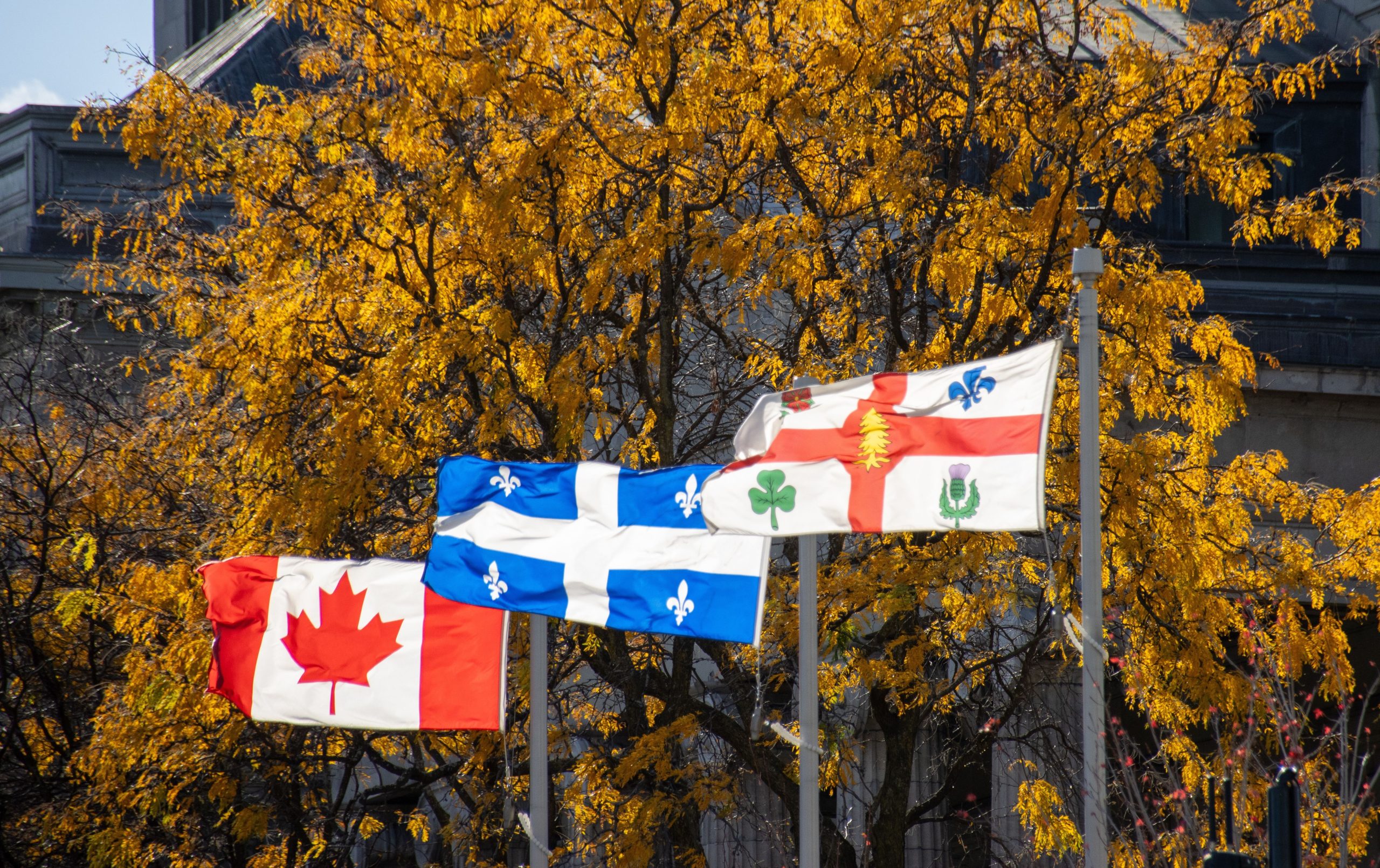 Les Américains boycottent le Canada mais il y a une province majeure qui a à peine ressenti quoi que ce soit