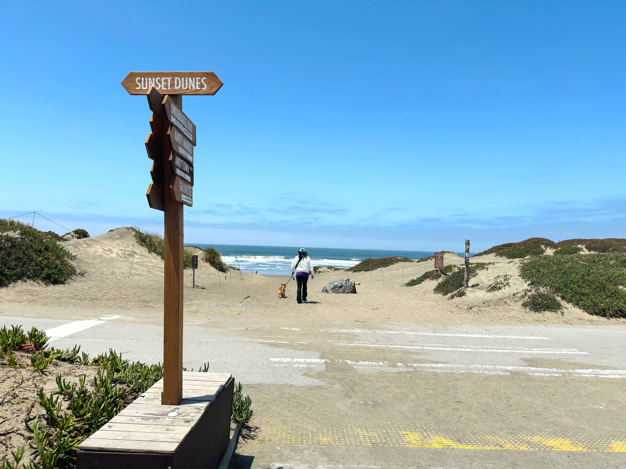 Pourquoi le nouveau parc de San Francisco a des habitants furieux