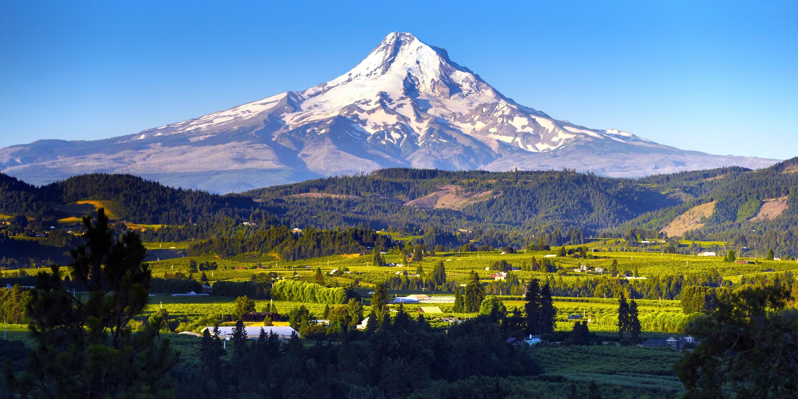 Scent, mas subestimado: esta cidade de Oregon é a alternativa perfeita de Portland