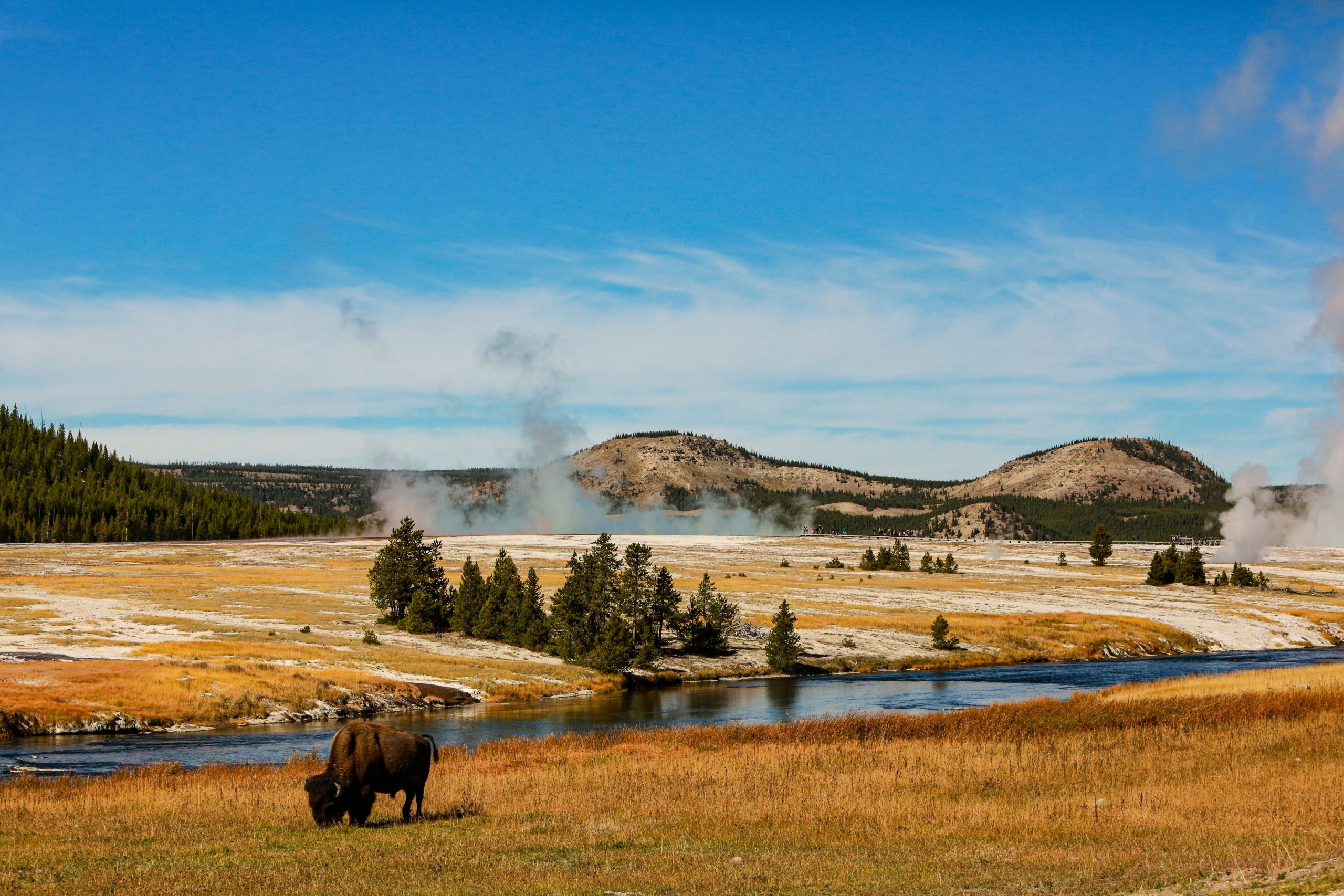 Yellowstone National Park implementa a proibição temporária de atividades populares, afetando milhares de visitantes