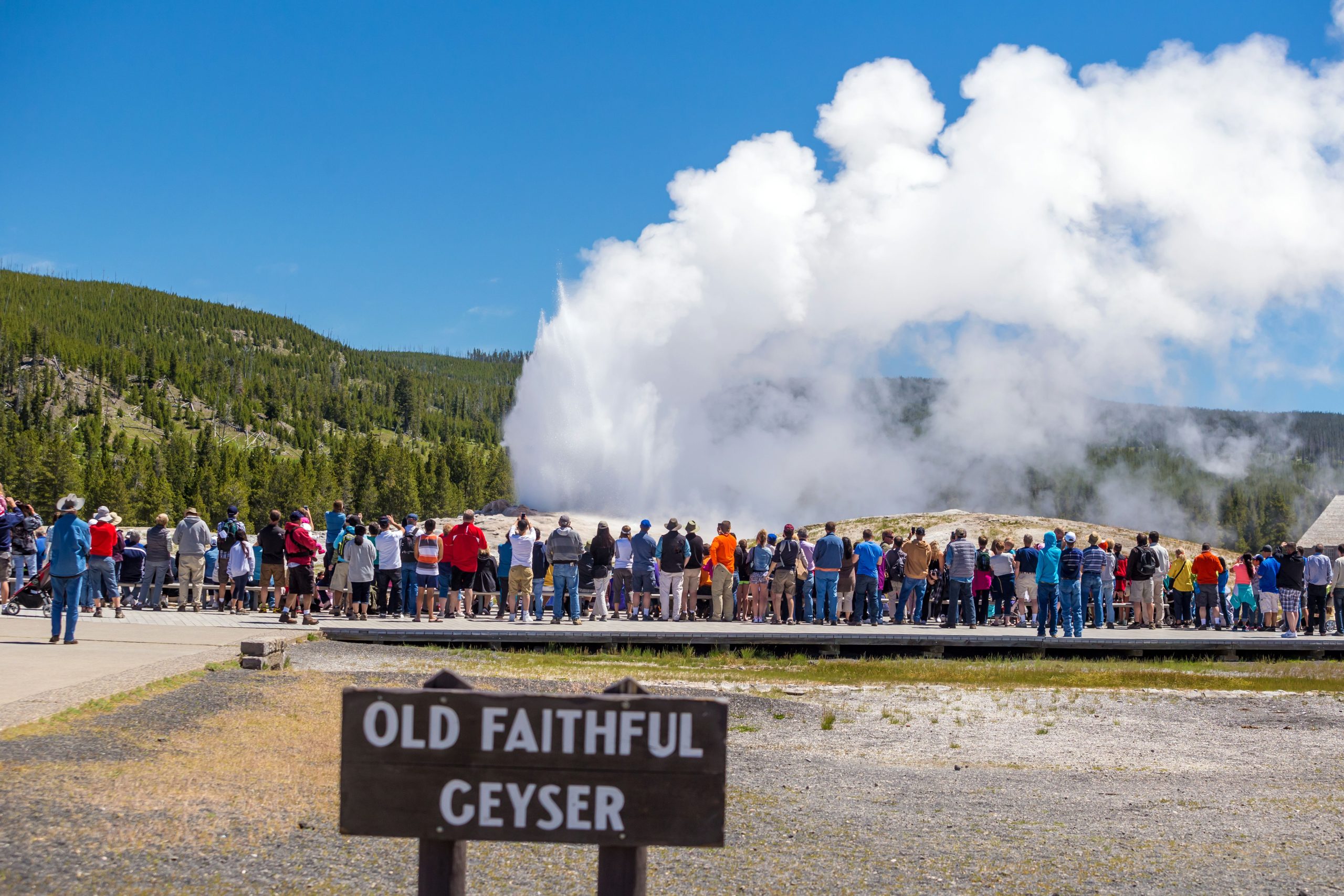 Les touristes du parc national de Yellowstone franchissent à nouveau la ligne: ce visiteur a en fait goûté à l'eau thermique