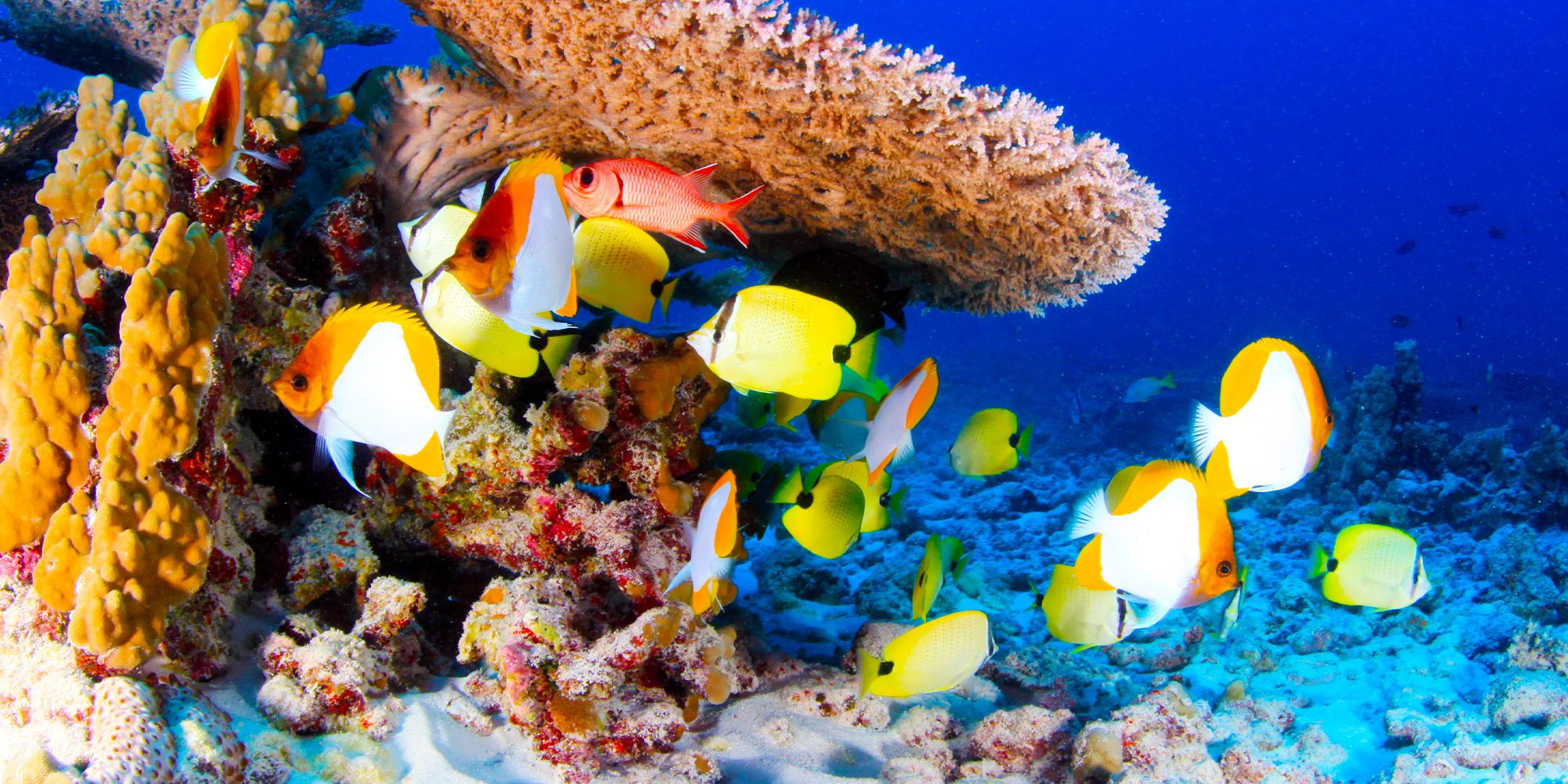 O maior site do Parque Nacional da América também é impossível de visitar