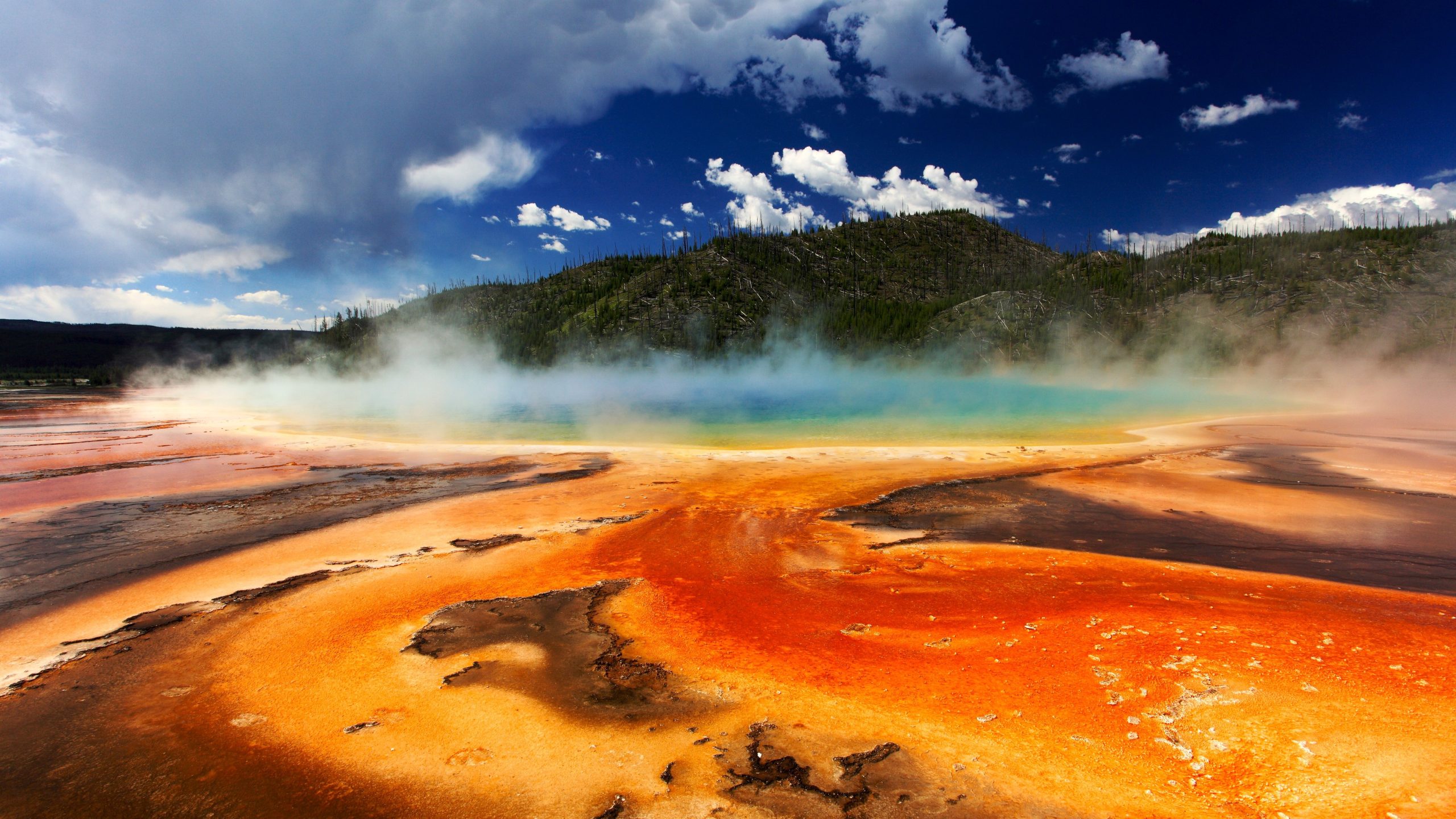 Los visitantes de Yellowstone no lo obtienen: el hombre en chanclas cruza la zona peligrosa y fuera de los límites