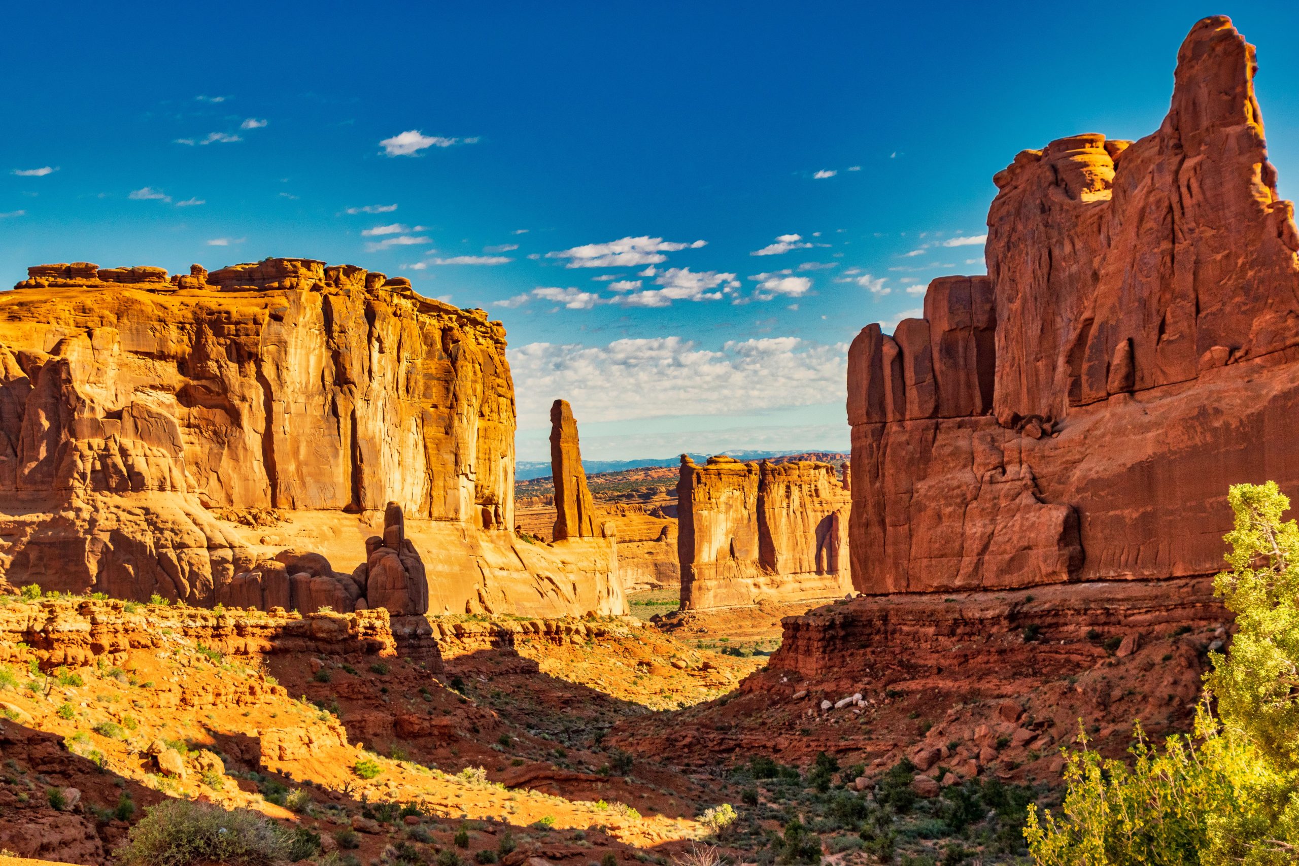 Parque Nacional de EE. UU. Elogió por cambio de reglas que los visitantes quieren que sigan otros parques