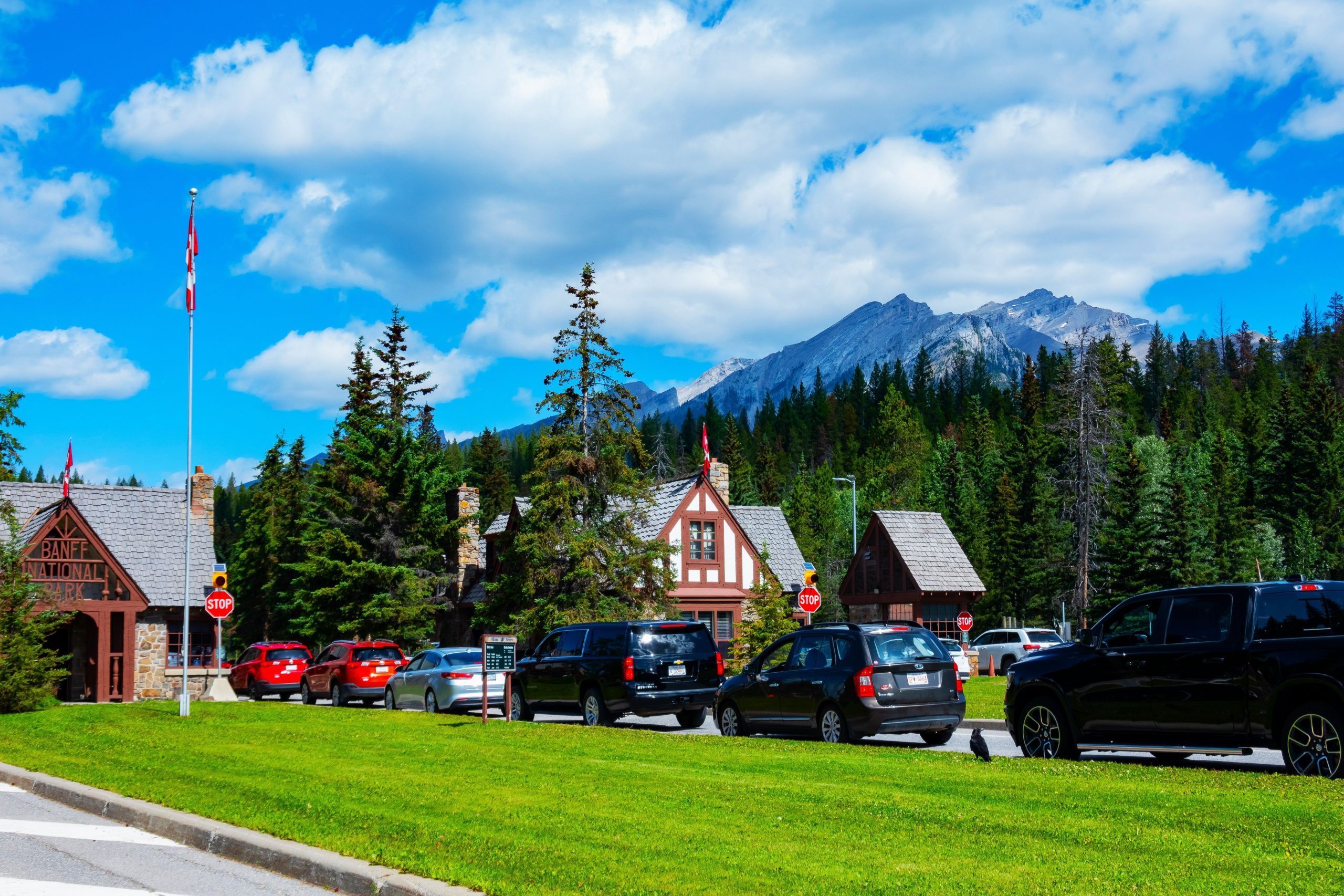 Os canadenses confundiram com as recentes lutas, apenas entrando no Parque Nacional Banff nos fins de semana