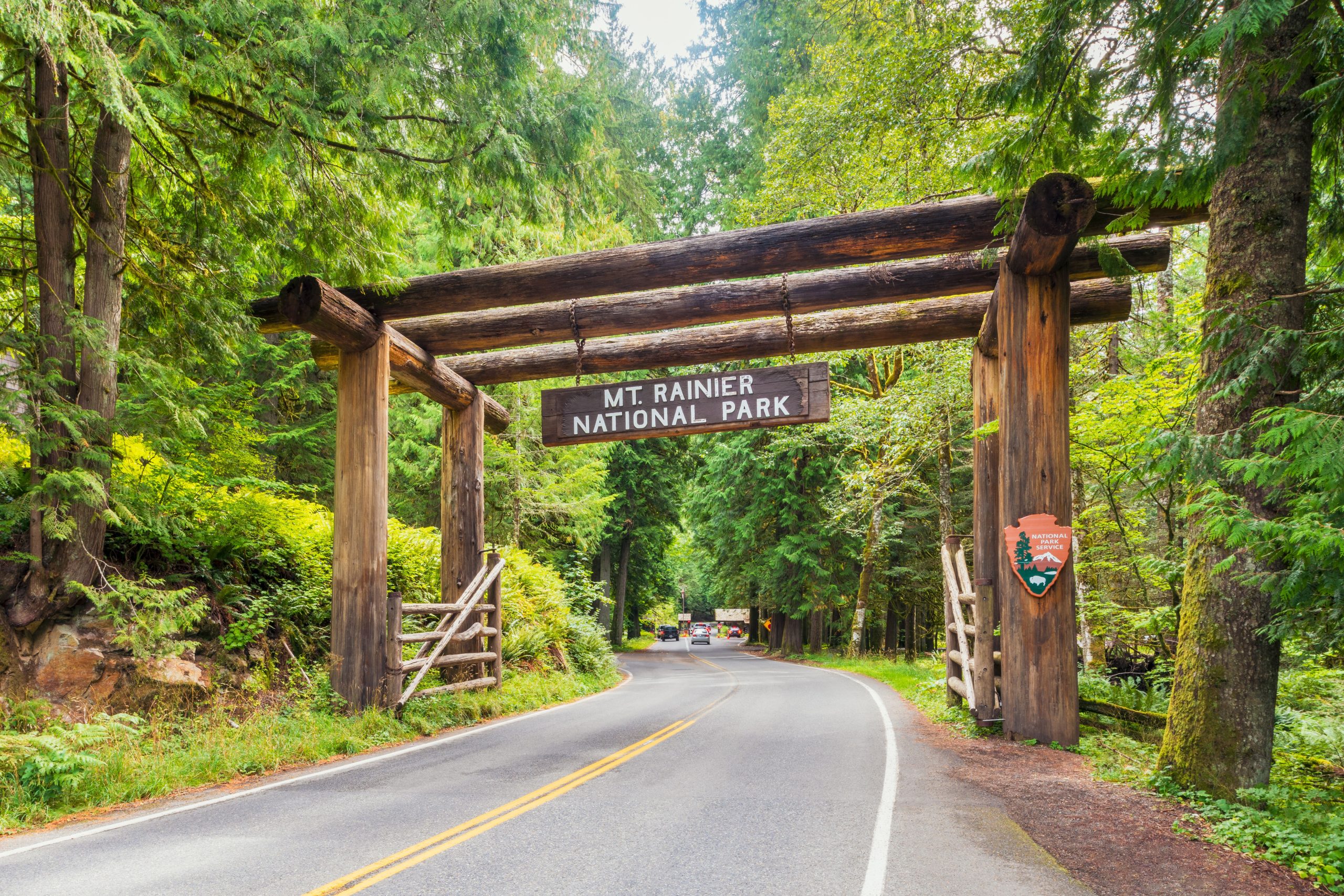 L'indignation éclate en ligne après que les touristes nourrissent la faune dans le parc national du mont Rainier