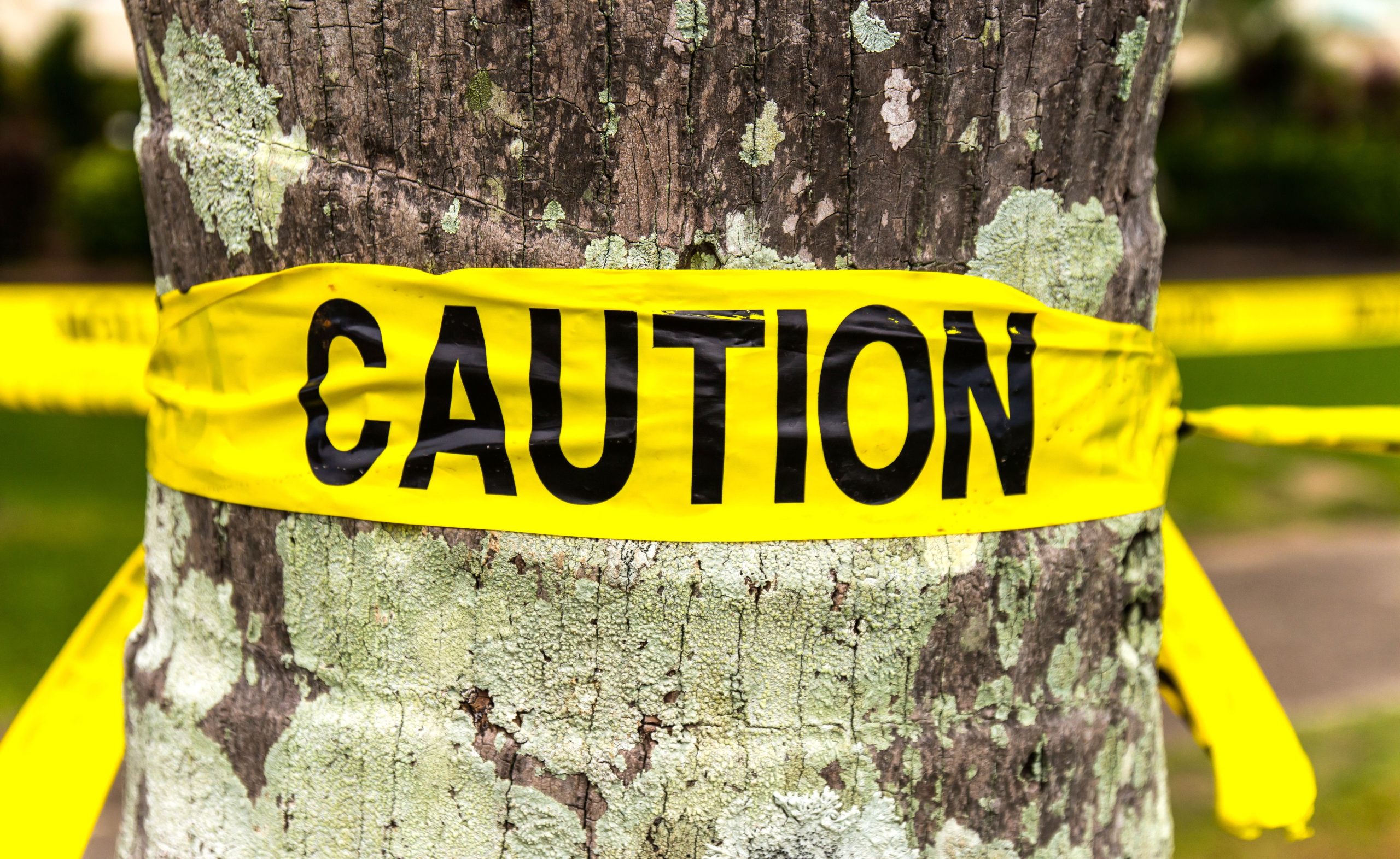 "Aléjate lo más rápido que puedas": Advertencia de visitantes populares de emisión de California Park sobre una nueva amenaza inusual