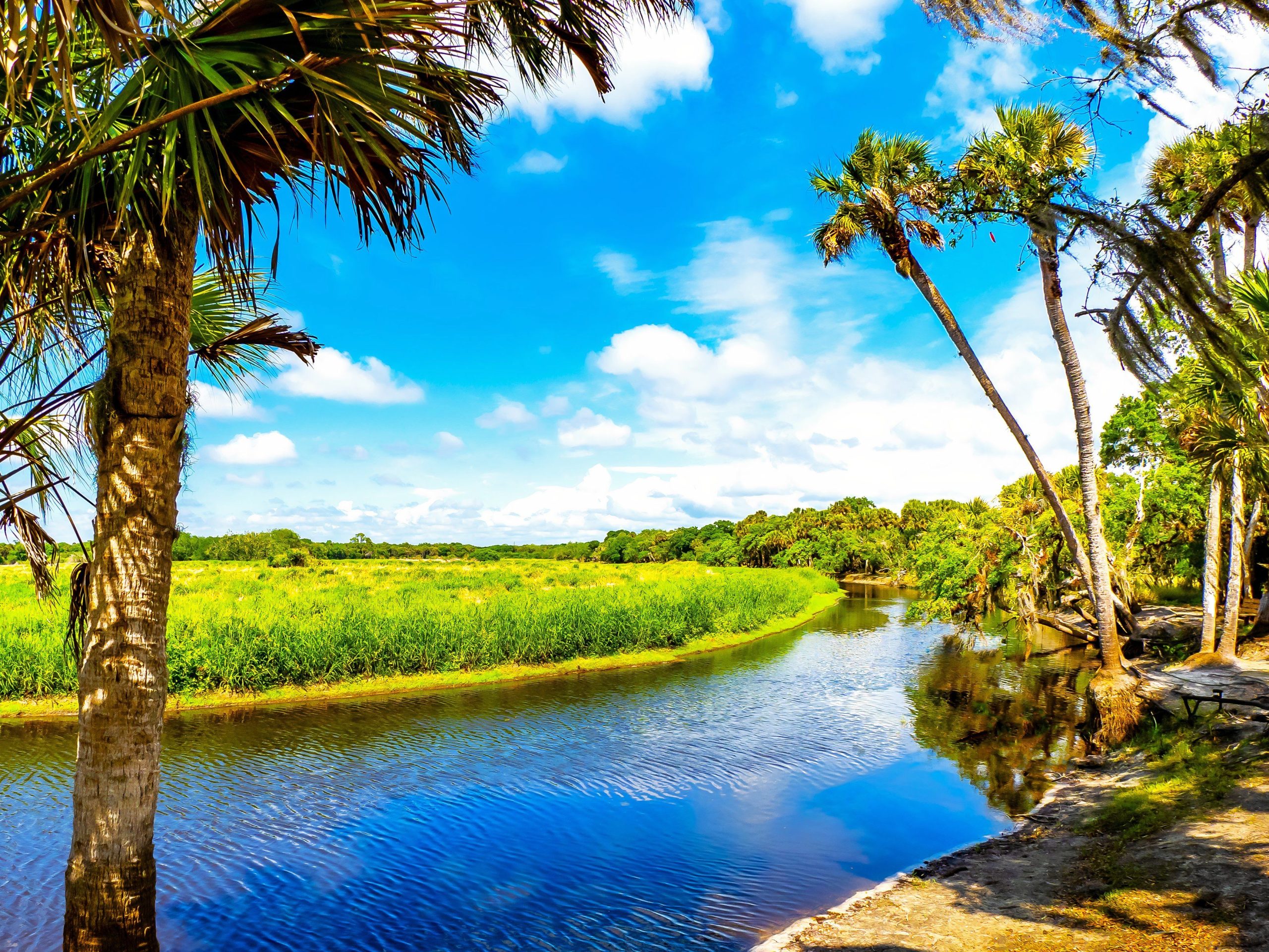 Le parc d'État le plus sous-estimé de la Floride est meilleur que le parc national des Everglades