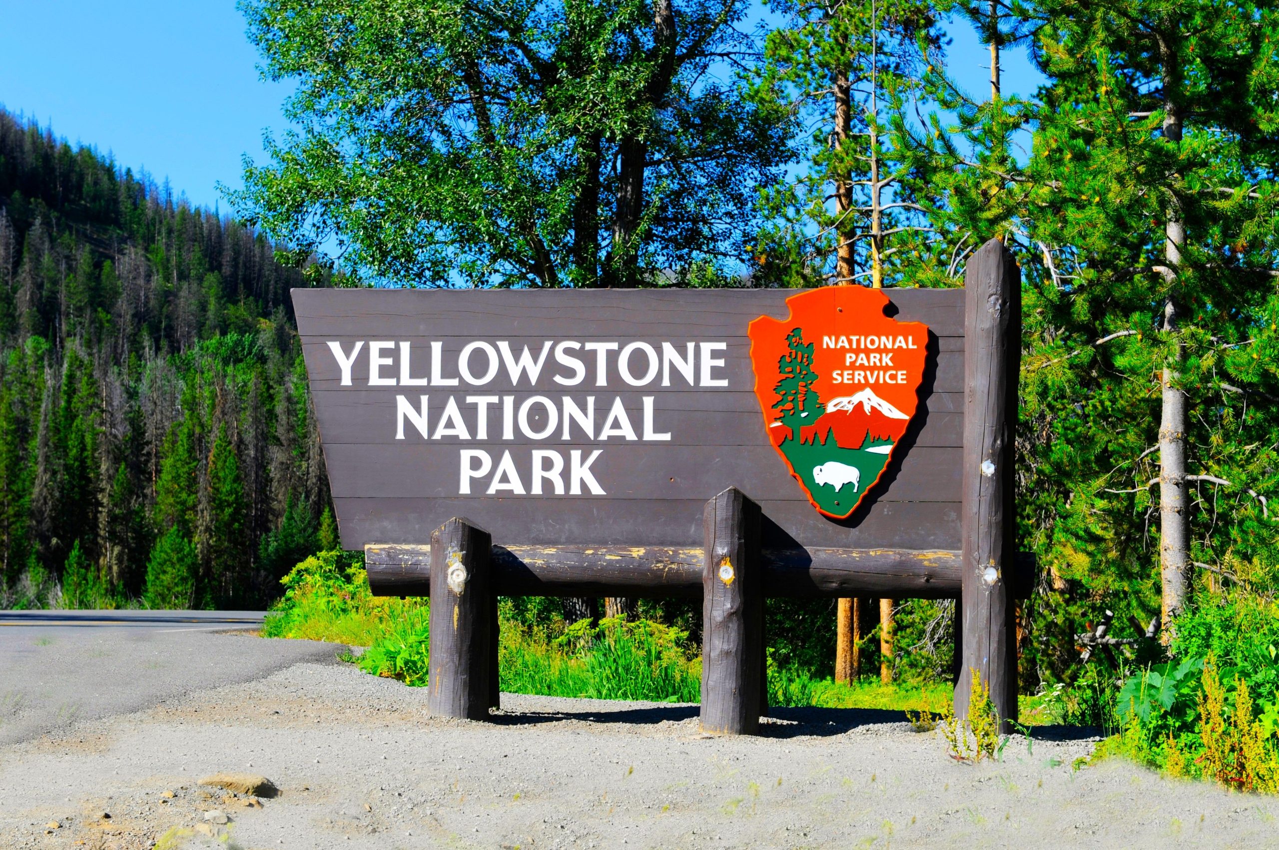 O visitante do Parque Nacional de Yellowstone compartilha a sombra realidade de tentar entrar no parque em uma terça 