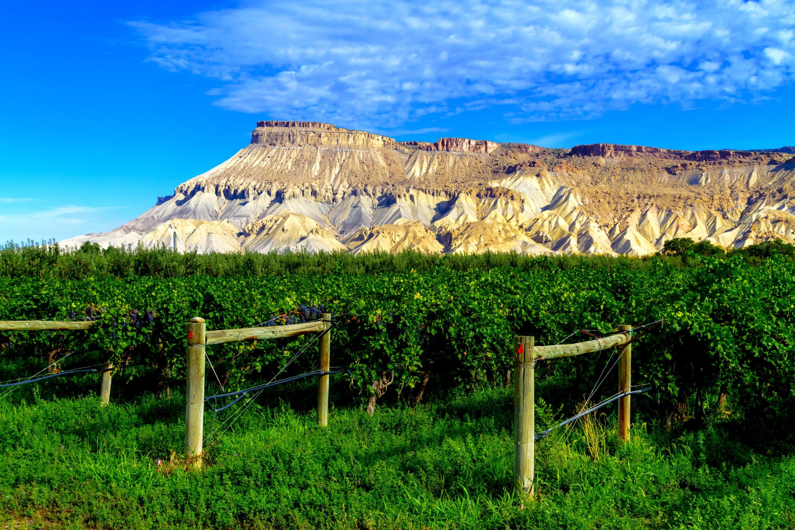 Este napa asequible lookalike tiene una escena épica del vino y vibraciones al aire libre