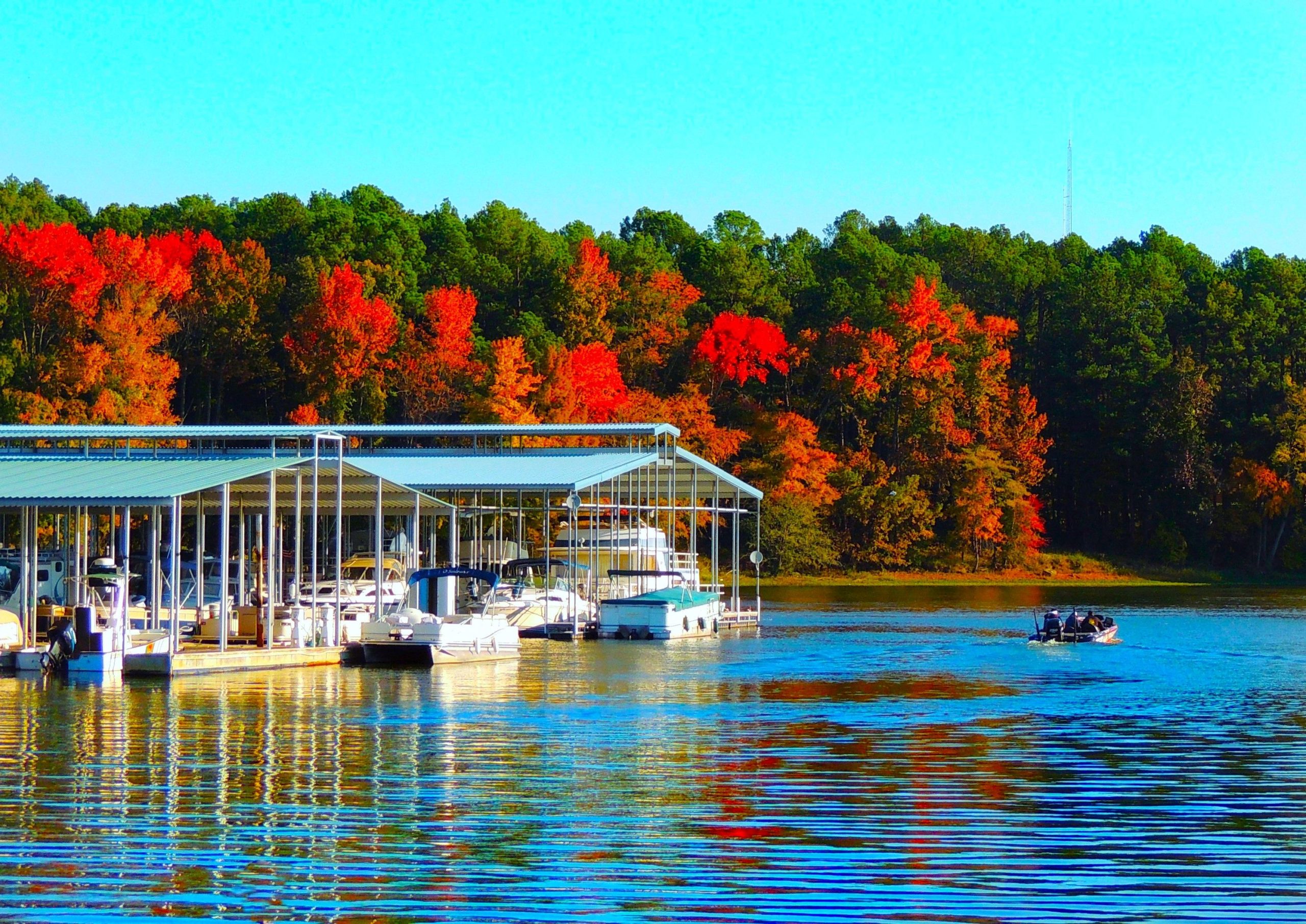 O melhor lugar do Tennessee para se aposentar é oficialmente esta cidade subestimada