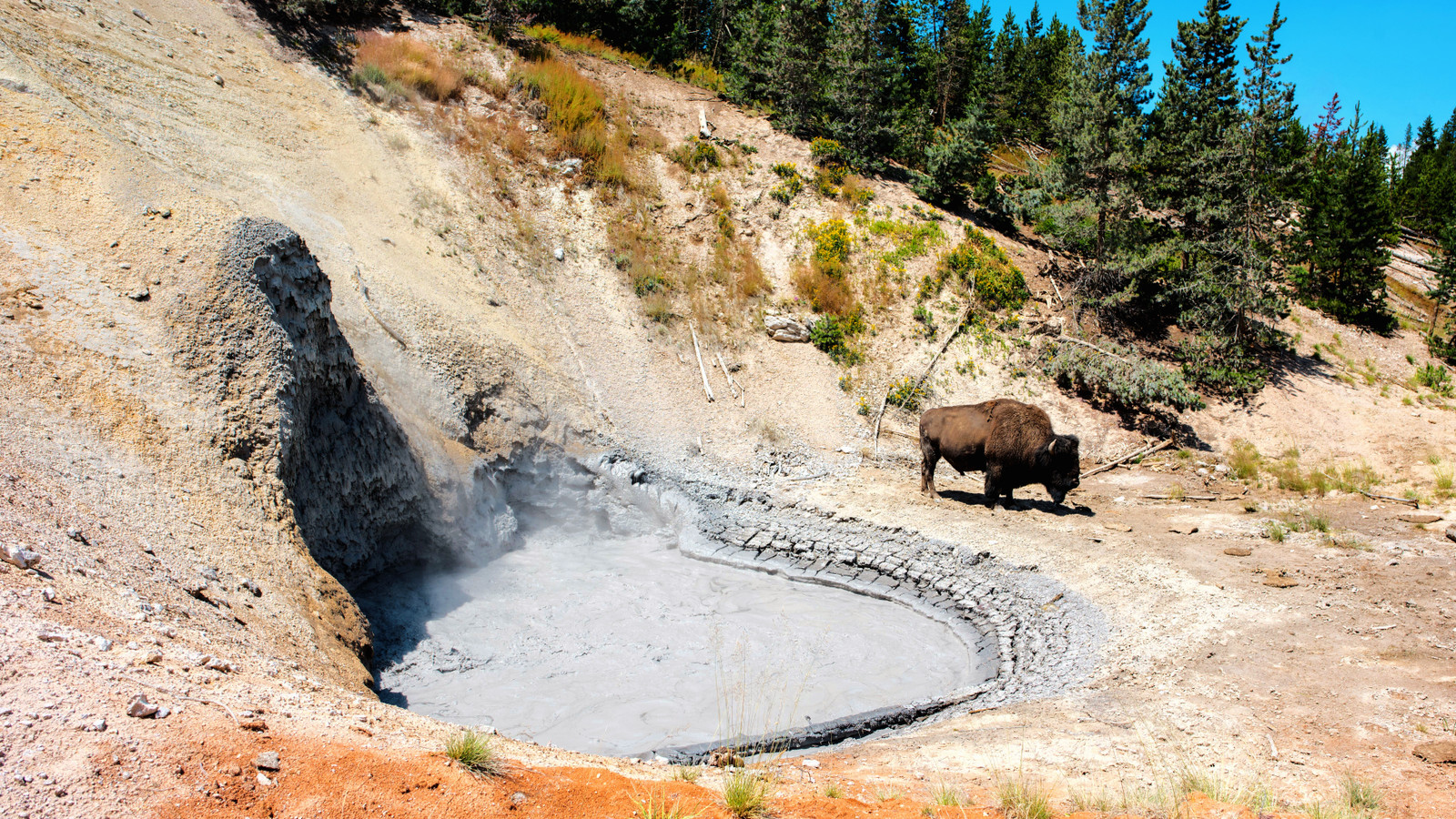 Les visiteurs furieux de Yellowstone rapportent des touristes au NPS après avoir risqué sa vie une deuxième fois pour les médias sociaux