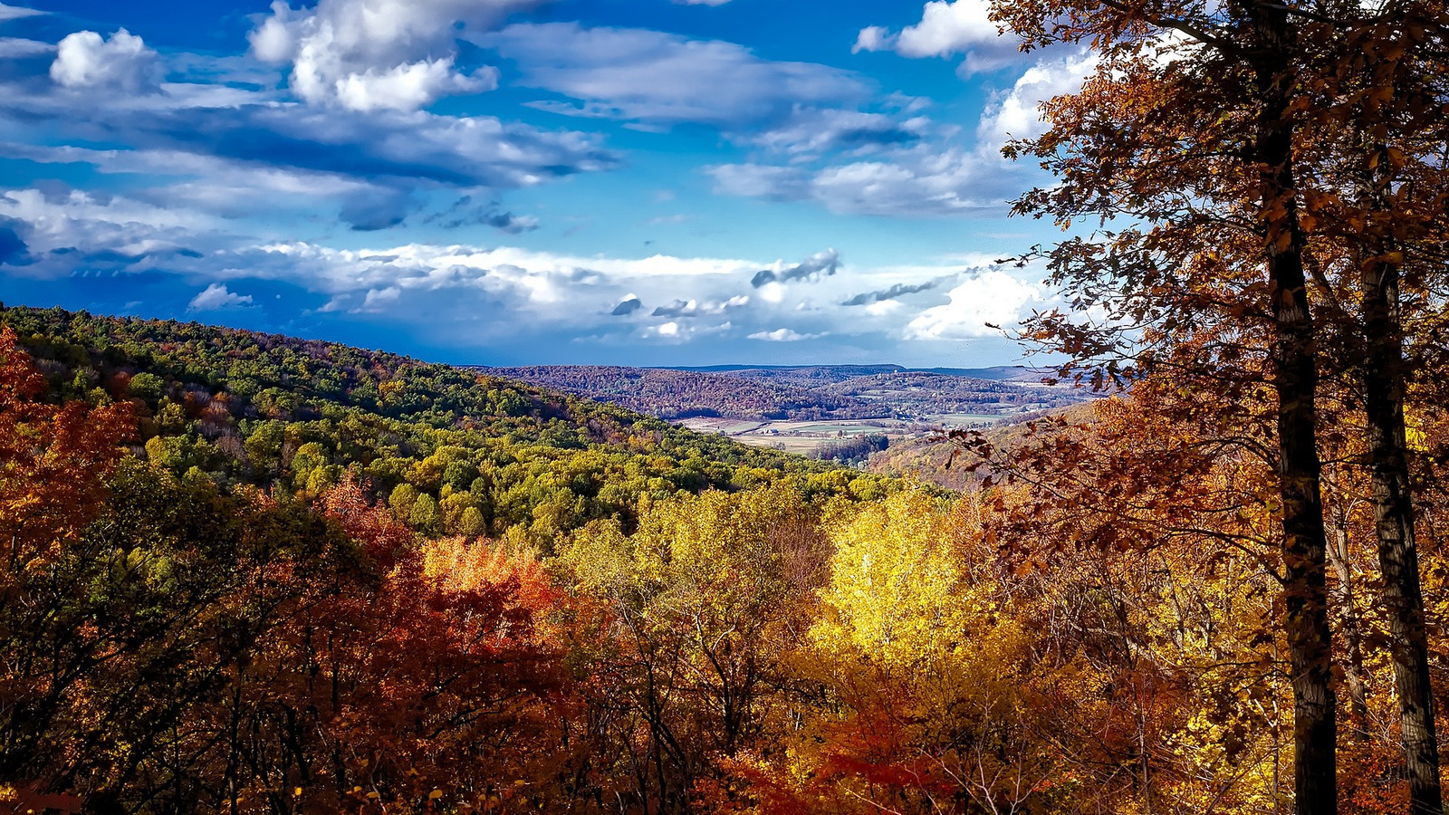 La plus belle alternative d'automne du parc national d'Acadia est un sosie moins cher dans un état surprenant