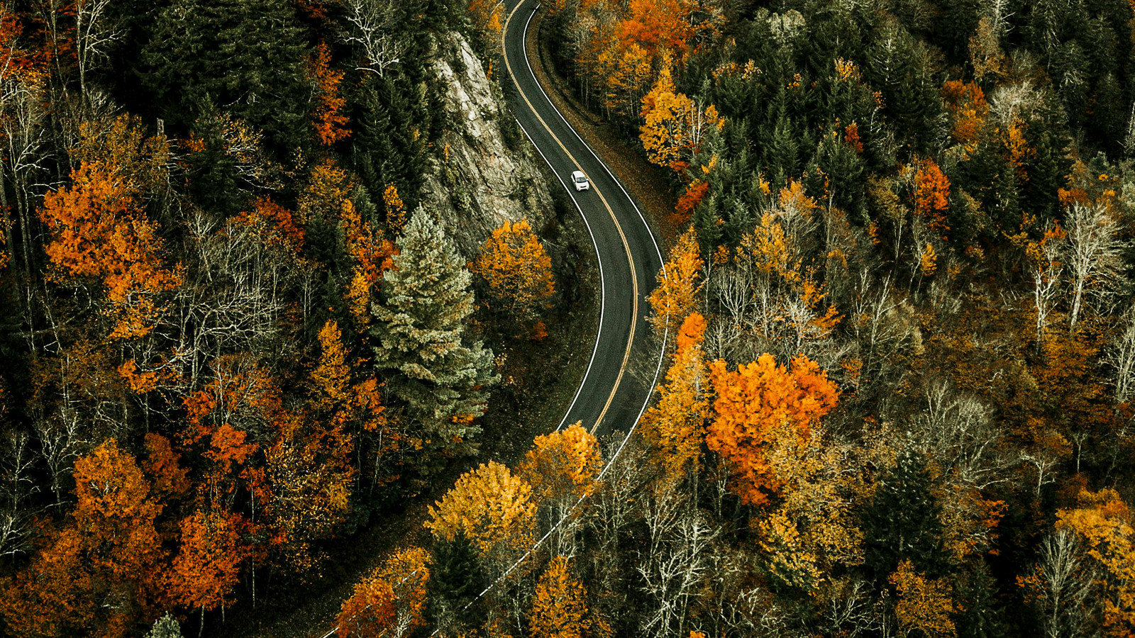 Les Américains se réjouissent du parc national américain le plus populaire pour rouvrir la zone interdite à temps pour la saison du feuillage d'automne