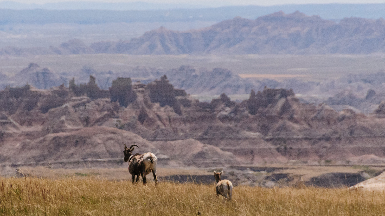 La belle ville qui est la passerelle des Badlands