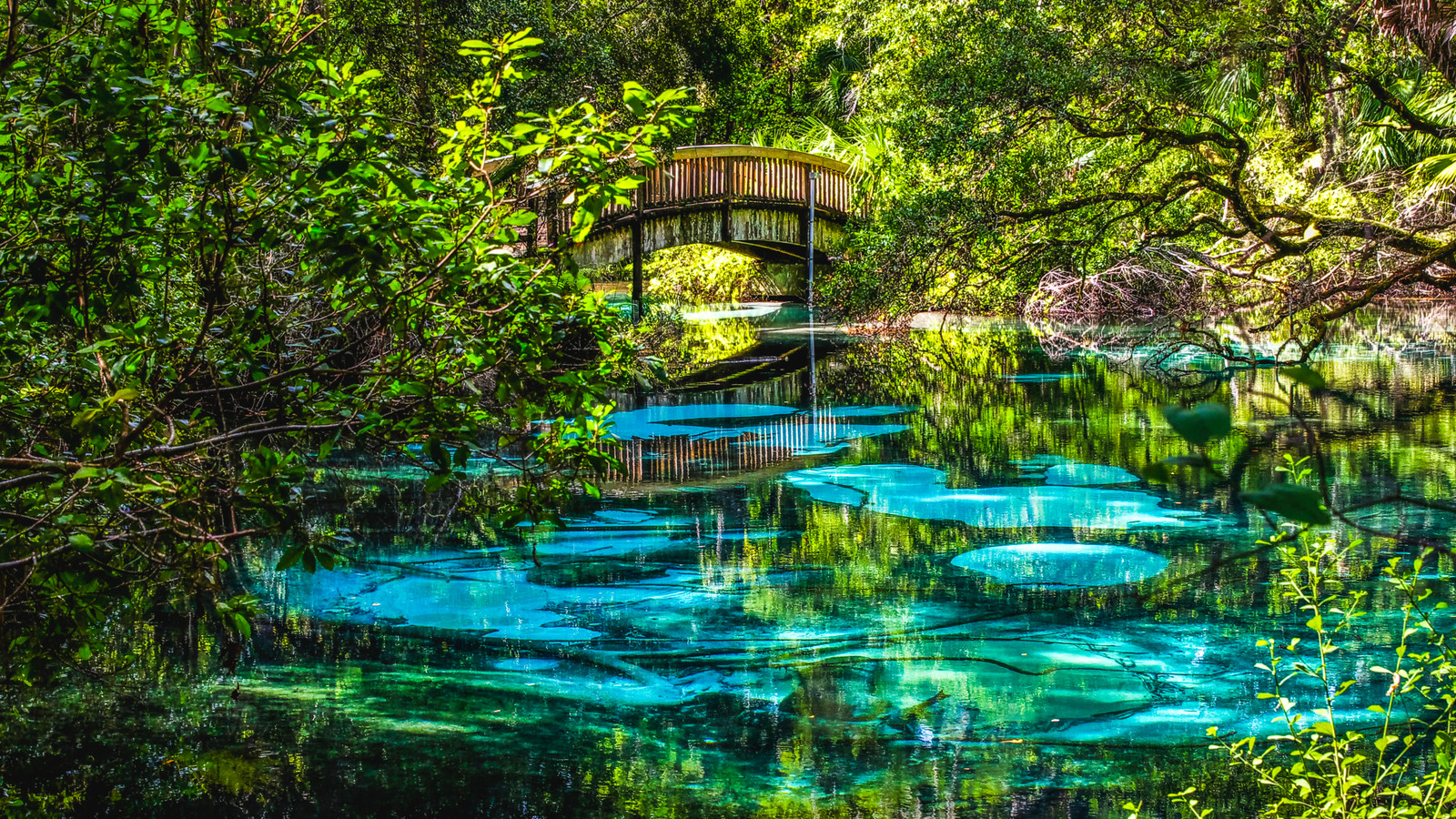 «Recette pour la catastrophe»: la Floride ne veut pas d'un nouveau parc national pour des raisons évidentes