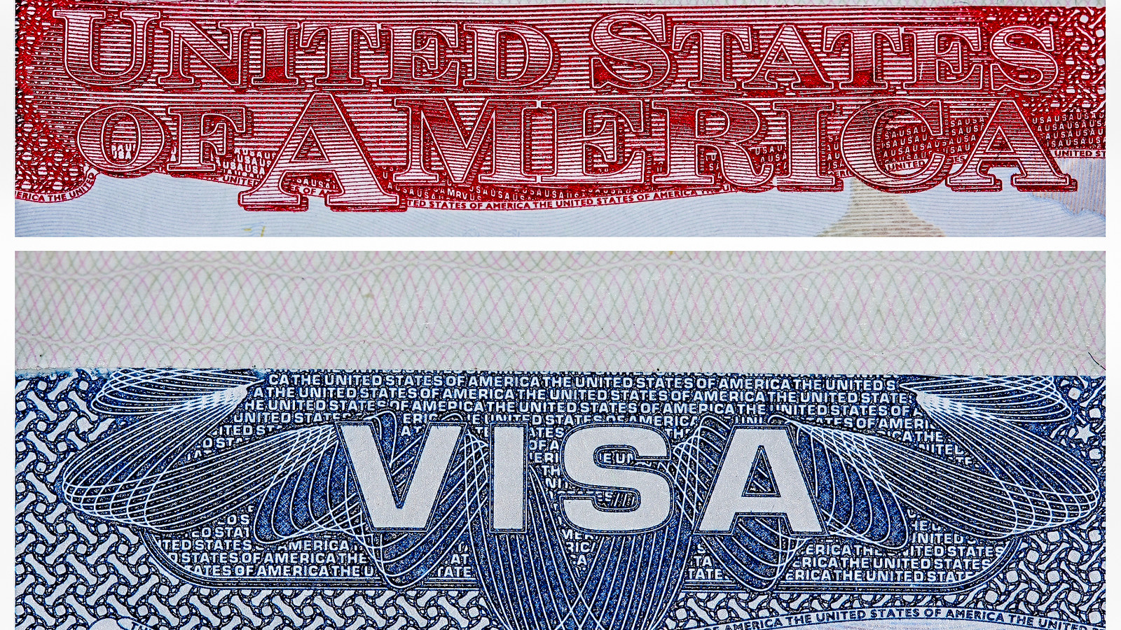 L'examen du gouvernement américain de 55 millions de titulaires de visa comprend des voyageurs avec des visas touristiques