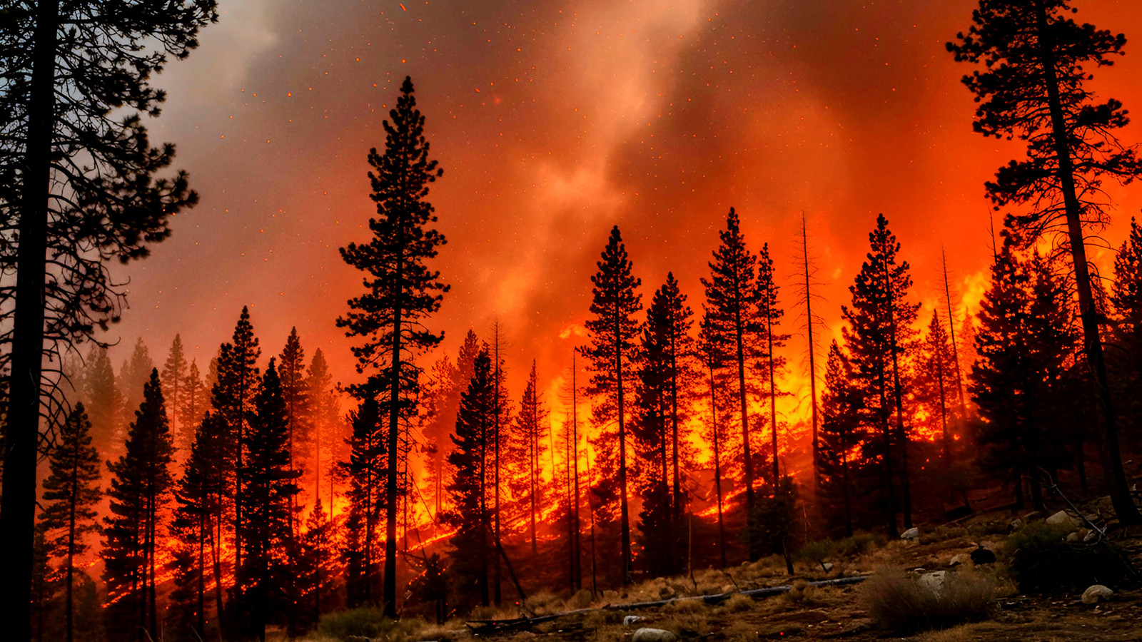 «Pas encore»: encore un autre parc national américain est en feu en raison de coups de foudre