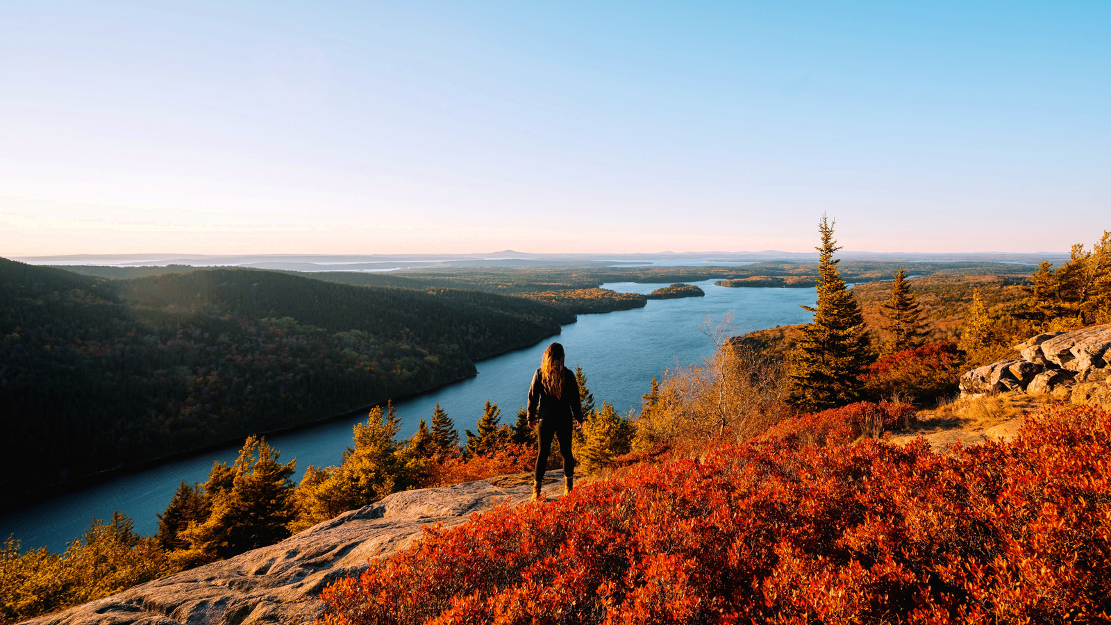 “As condições atuais não são sustentáveis”: a escassez de pessoal do Parque Nacional Popular passes desmarcados e as mesas vazias