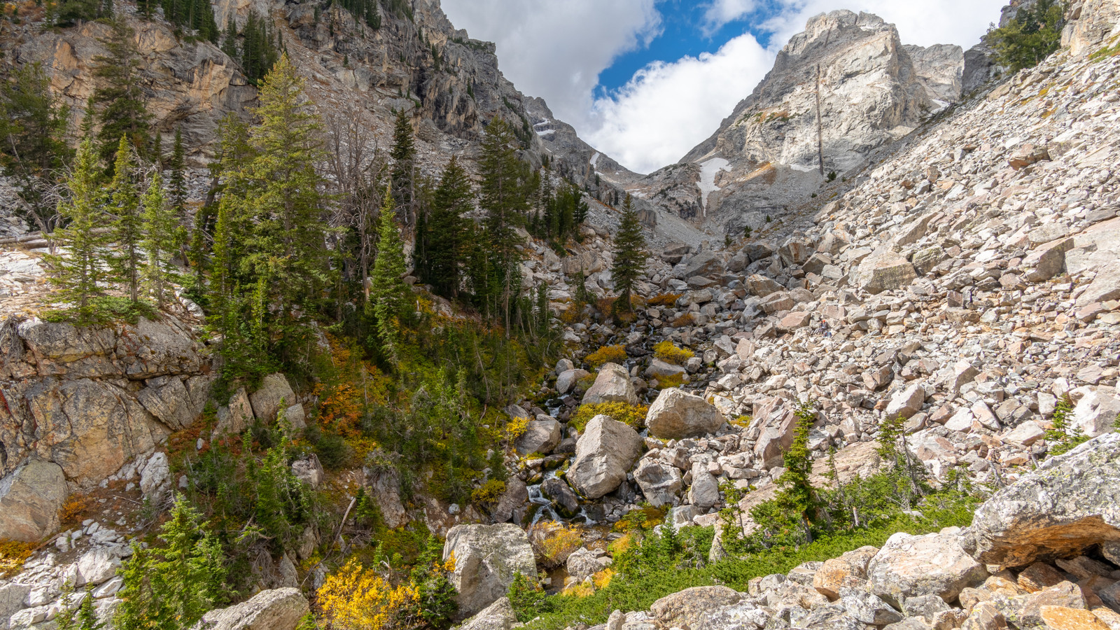 L'athlète du parc national de Grand Teton a été reconnu coupable: affronte 5 000 $ d'amende et de l'interdiction du parc après avoir tenté de battre un record