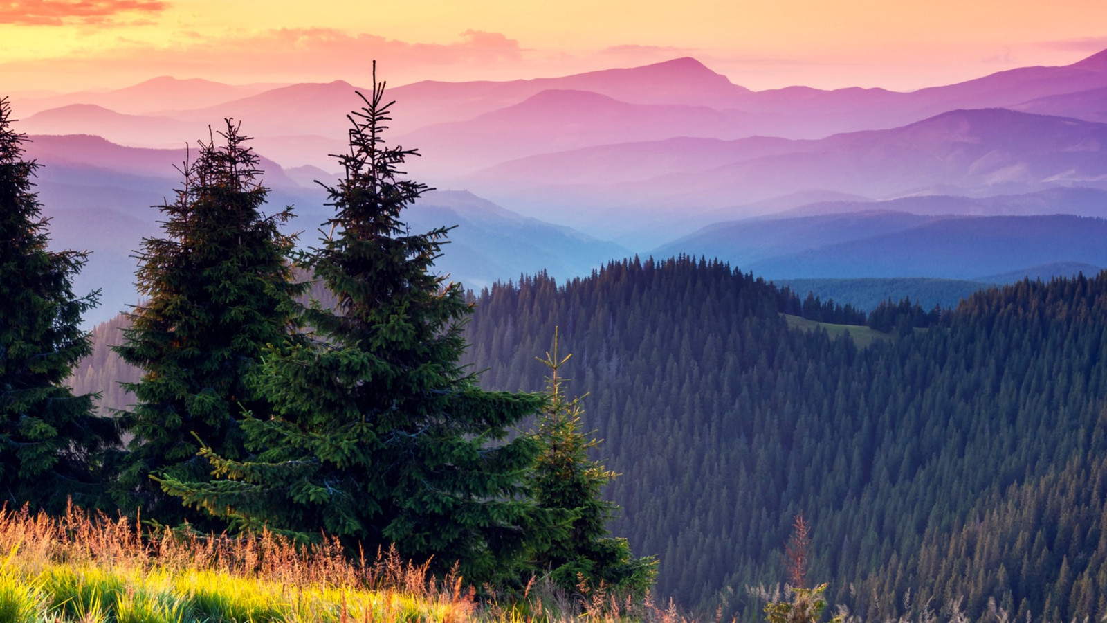 150 personnes ne sont jamais rentrées chez elles après avoir visité le parc national le plus populaire d'Amérique
