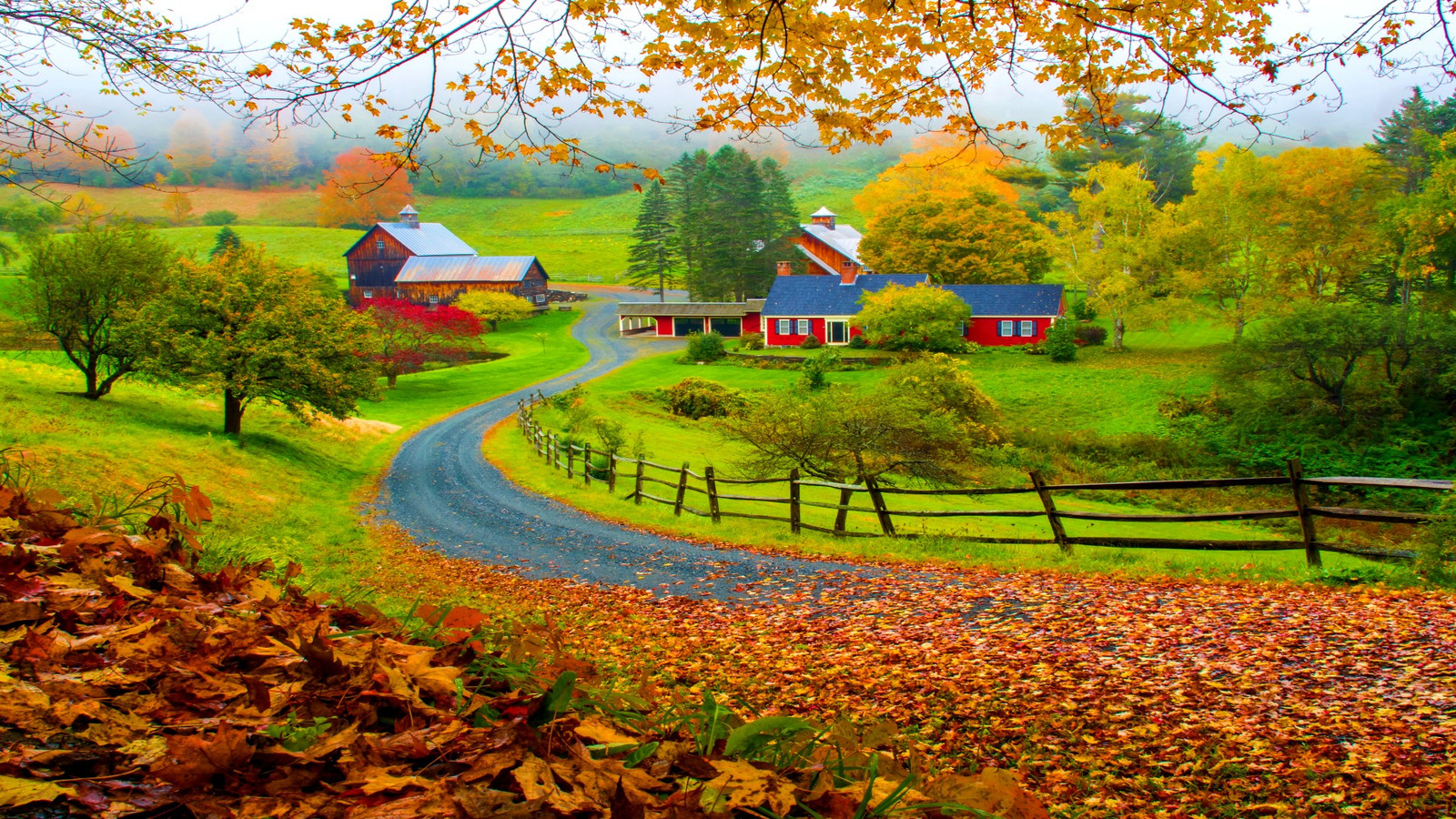 Countdown da folhagem de outono: Novo mapa revela onde ver as cores do pico do outono antes que elas apareçam