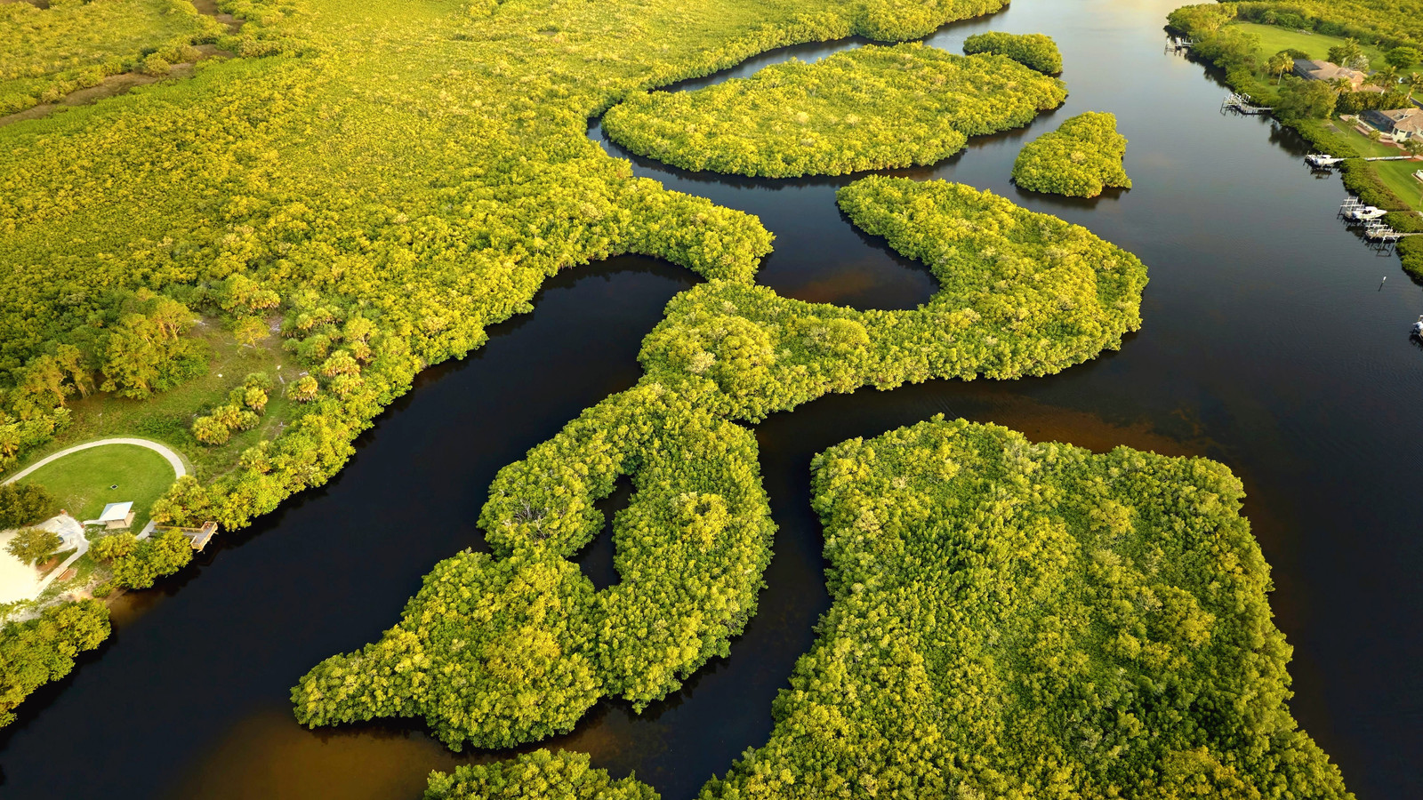 `` C'est bon de voir quelqu'un a du courage: '' Le juge ordonne des changements radicaux à une installation controversée pour protéger les Everglades en Floride