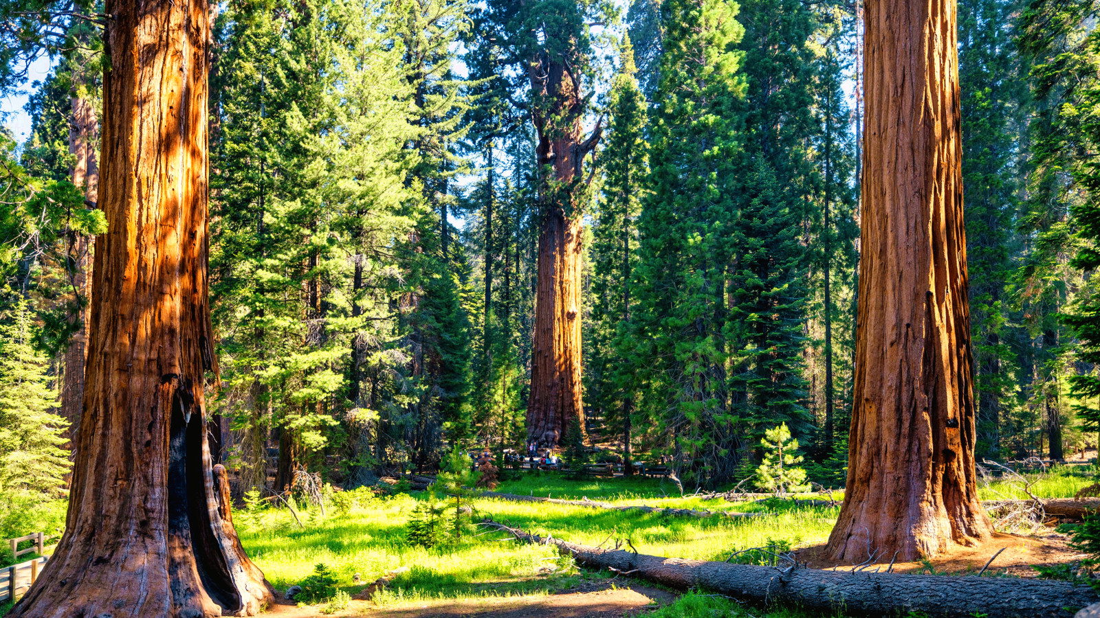 Le National Park Service de Californie fait enfin décolle des coupables qui crachent des déchets toxiques à bien-aimé Park