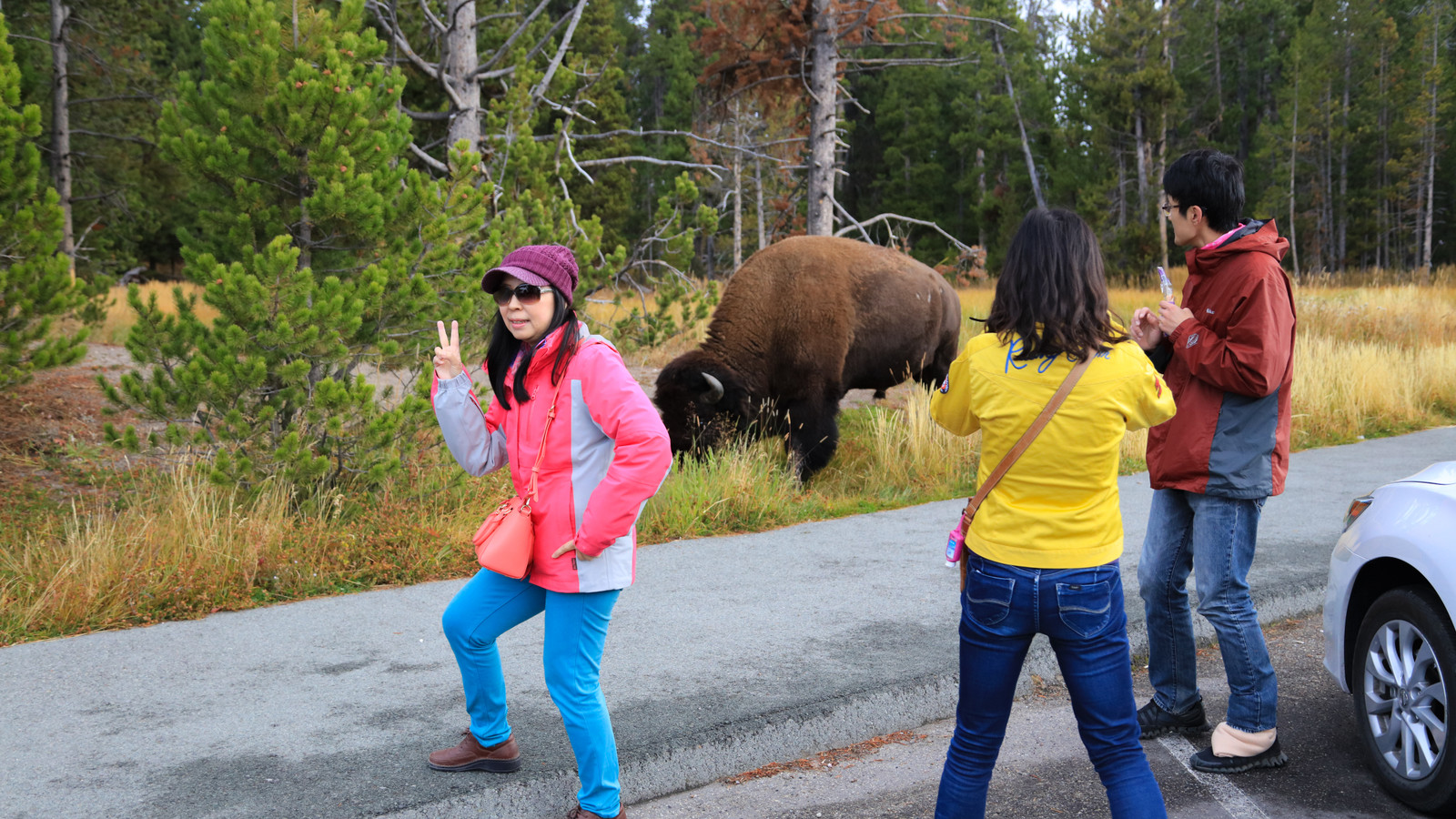 «Tourons» en liberté: les voyageurs se comportent si mal qu'ils ont gagné un nouveau surnom