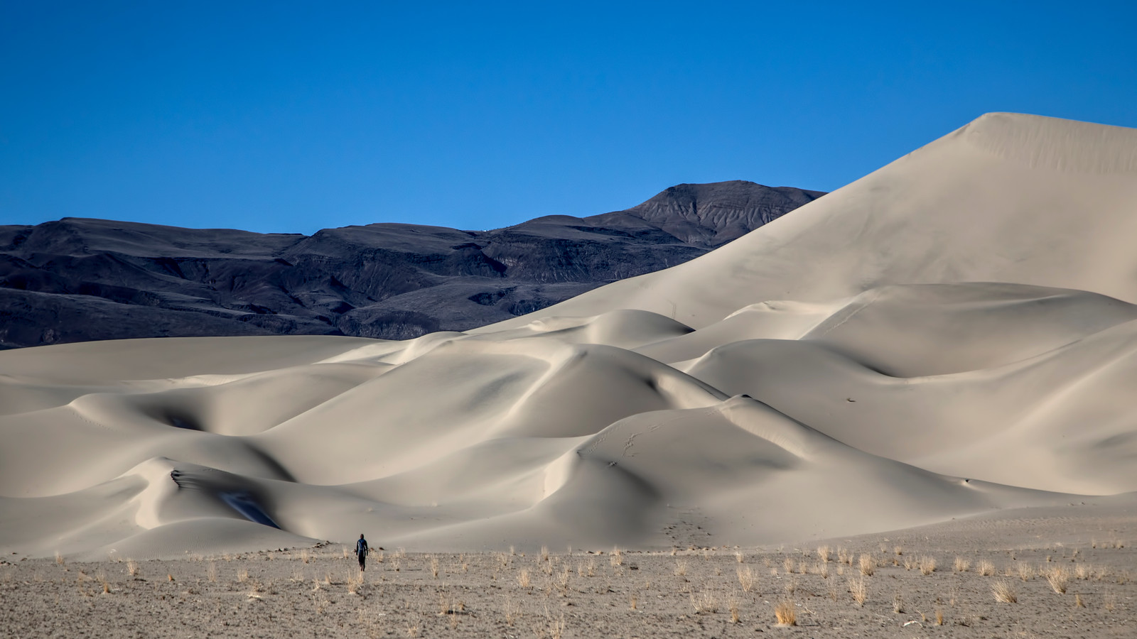 La zone bien-aimée du parc national de Death Valley est illégalement défigurée: les NPs recherchent toujours des réponses
