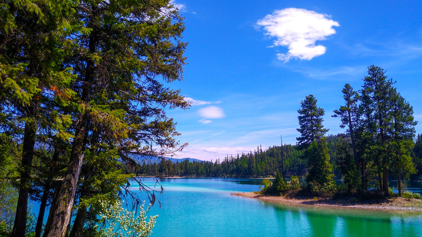 Découvrez le Montana State Park qui est tout aussi magnifique que Glacier