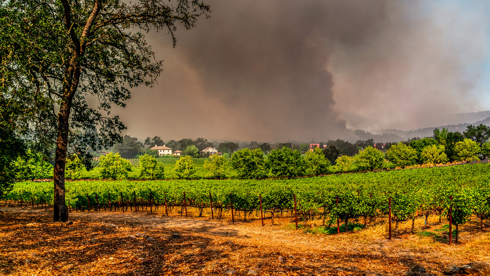 Los viajeros y los locales evacúan la región turística más pintoresca de California debido a las continuas llamas