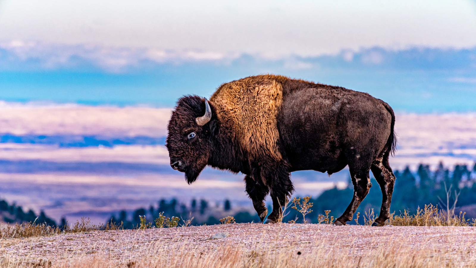 Este pouco conhecido Parque Nacional da Dakota do Sul rivaliza com as Badlands com paisagens épicas, pôr do sol espetacular e muito mais