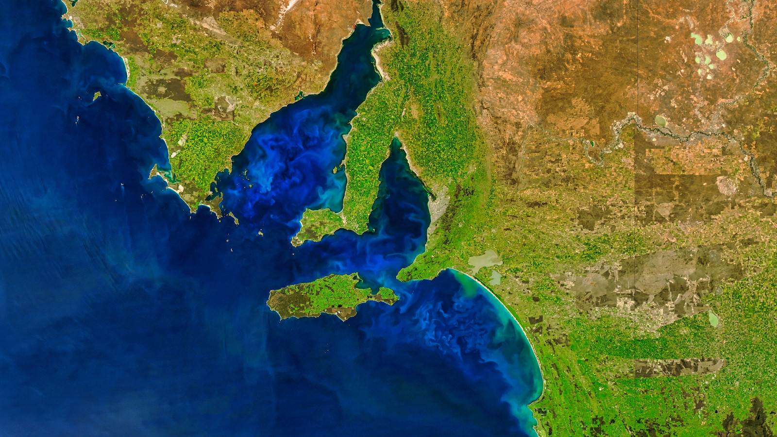 La NASA vient de détecter une créature océanique géante et brillante sur des images satellite