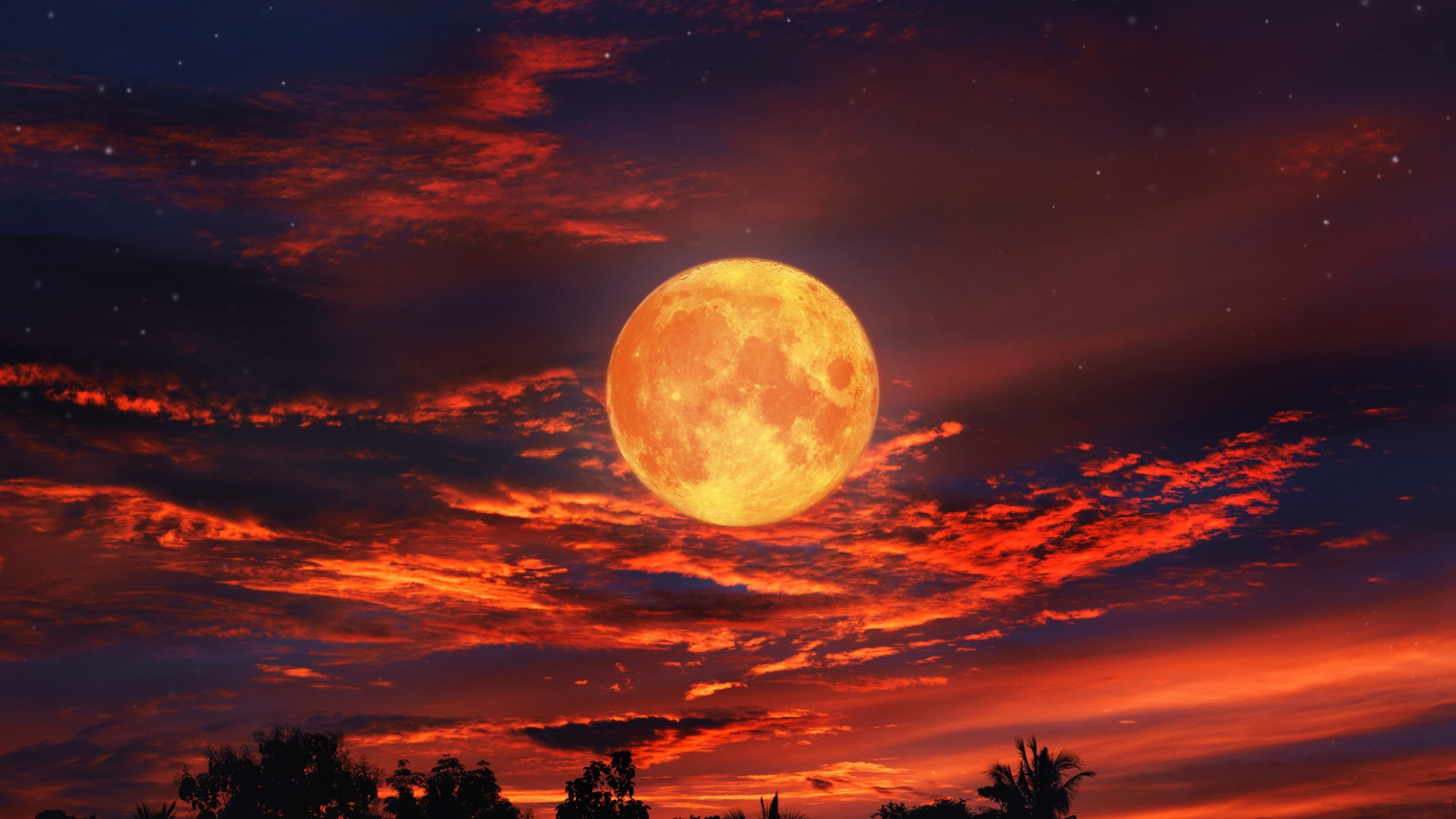 Blood Moon Total Lunar Eclipse Palmagens prova que valeu a pena a espera: deixa os espectadores sem palavras