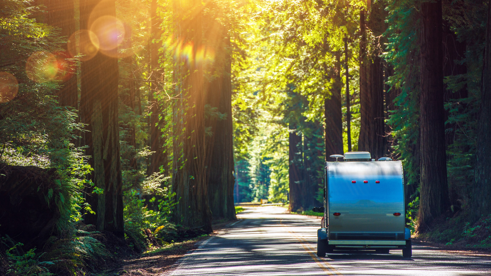 Le parc national de Californie appelle le public à trouver un visiteur mystère qui a enfreint le règlement majeur