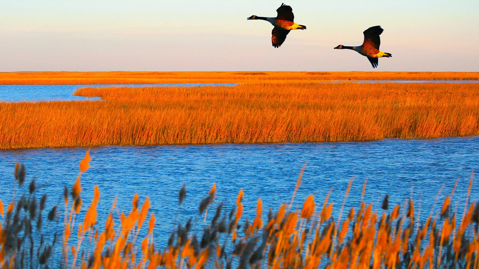 Este sitio del Parque Nacional Secreto es oficialmente uno de los lugares más hermosos de Estados Unidos.