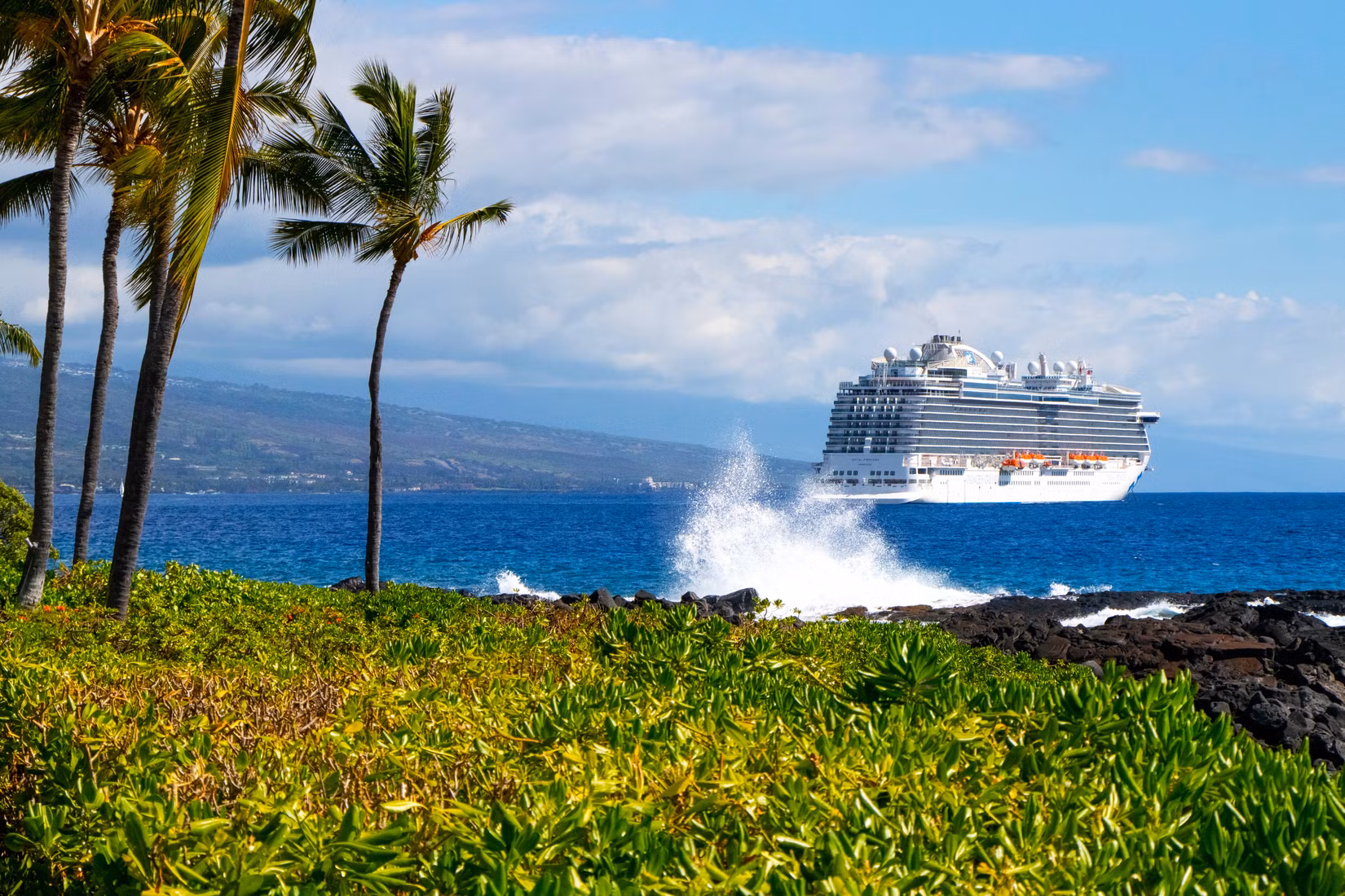 El gobierno de EE. UU. y expertos en cruceros unen fuerzas para prohibir la “extorsión ilegal” a los viajeros en Hawái