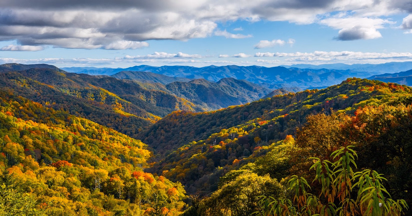 Le parc national des Great Smoky Mountains reste ouvert à 80 000 $ par semaine, mais les services sont limités et les Rangers sceptiques