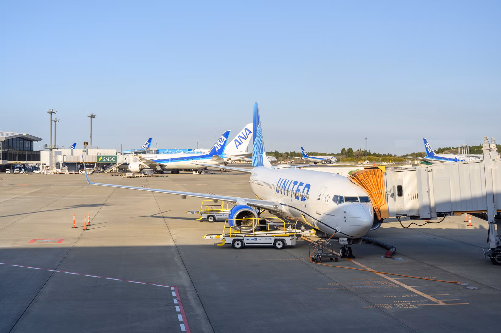 Delta vs. Unidos vs. Southwest: qual companhia aérea tem maior probabilidade de perder sua mala