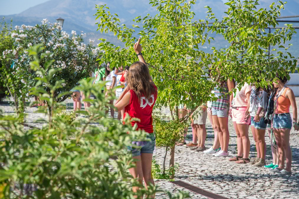 Como colocar sua experiência voluntária no exterior em um currículo