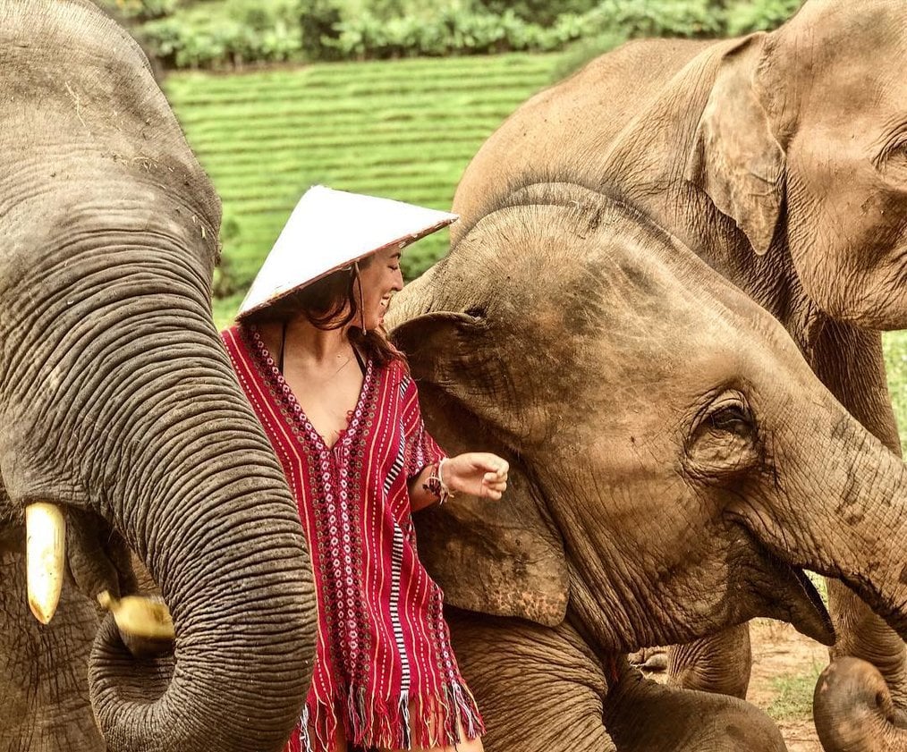 Qué saber antes de ser voluntario con elefantes