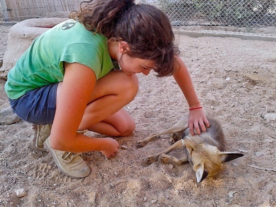 Cómo hacer el mayor impacto como voluntario a corto plazo en el extranjero