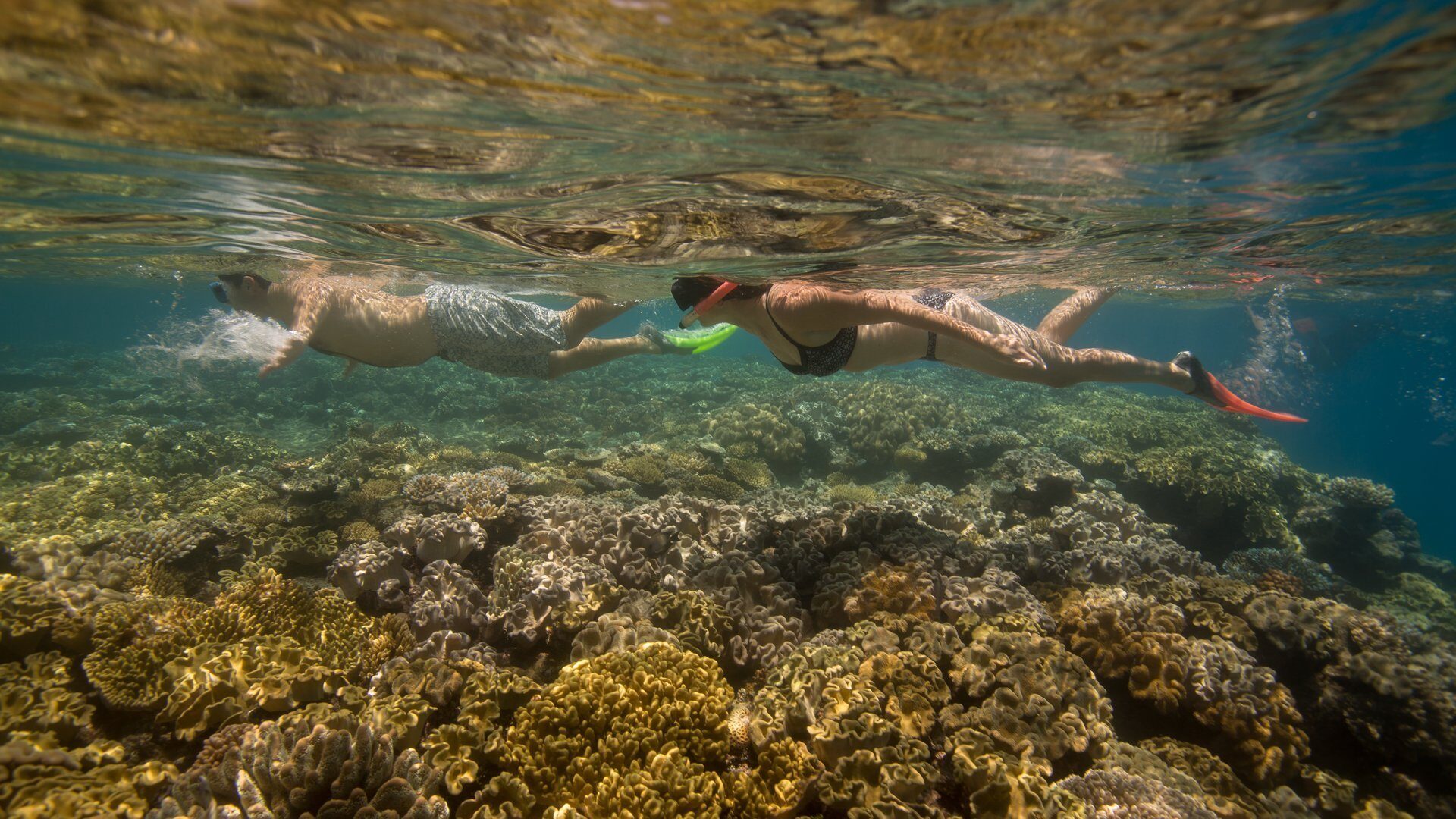 19 melhores ilhas para snorkeling