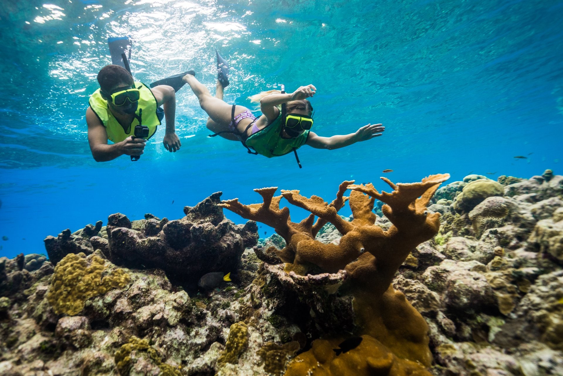 33 melhores pontos de snorkeling no Caribe